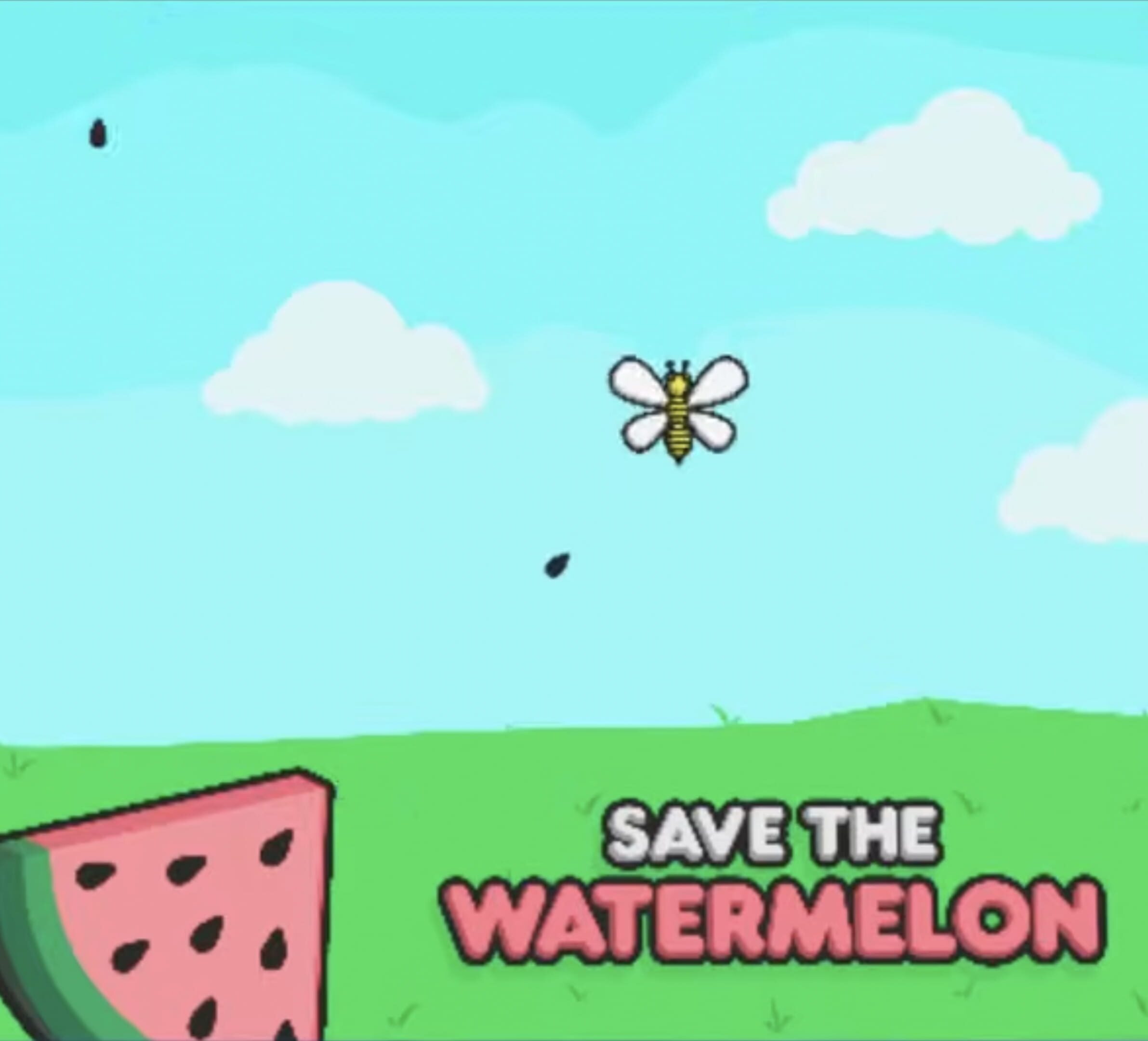 Save the Watermelon cover