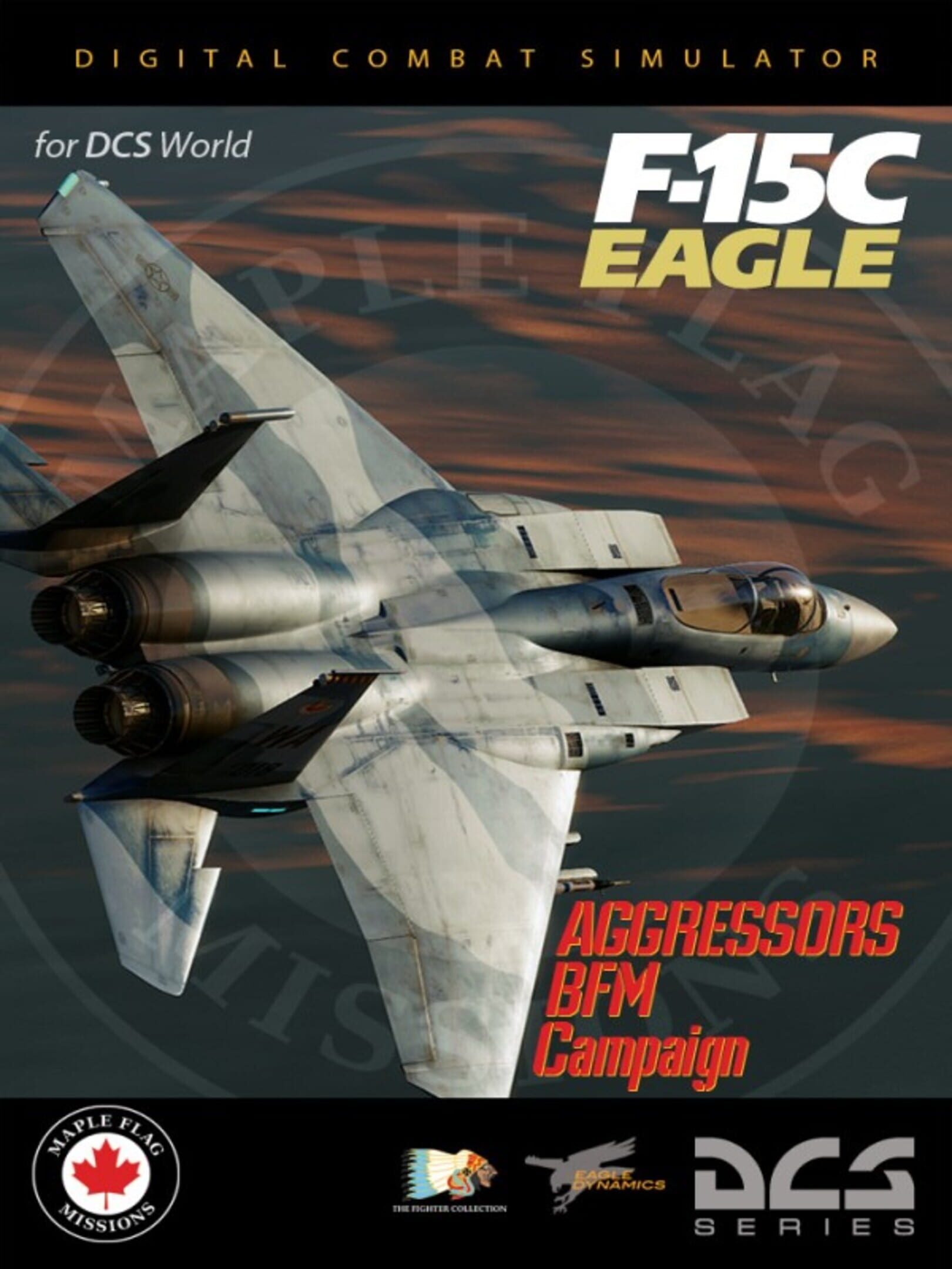 DCS World: F-15C - Aggressors BFM Campaign cover