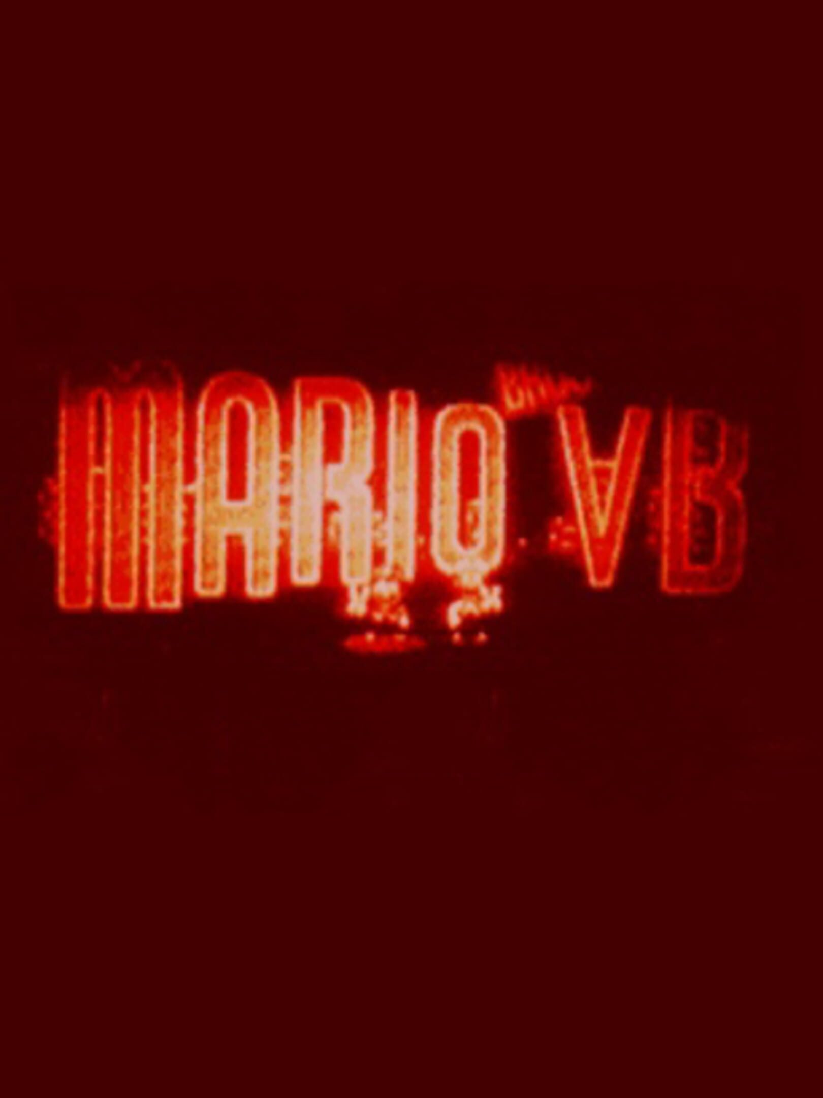 Mario Bros. VB cover