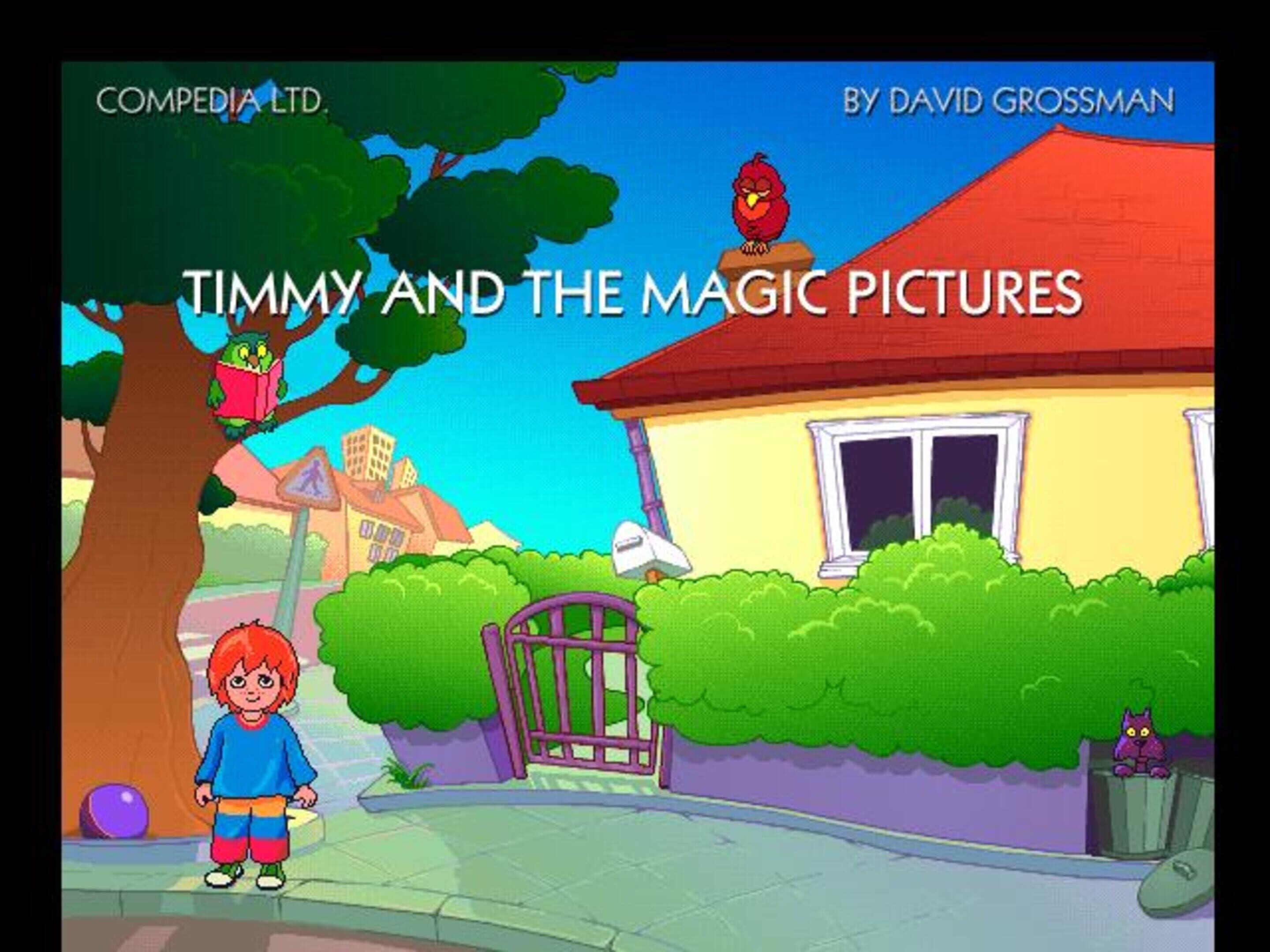 Timmy and the Magic Pictures