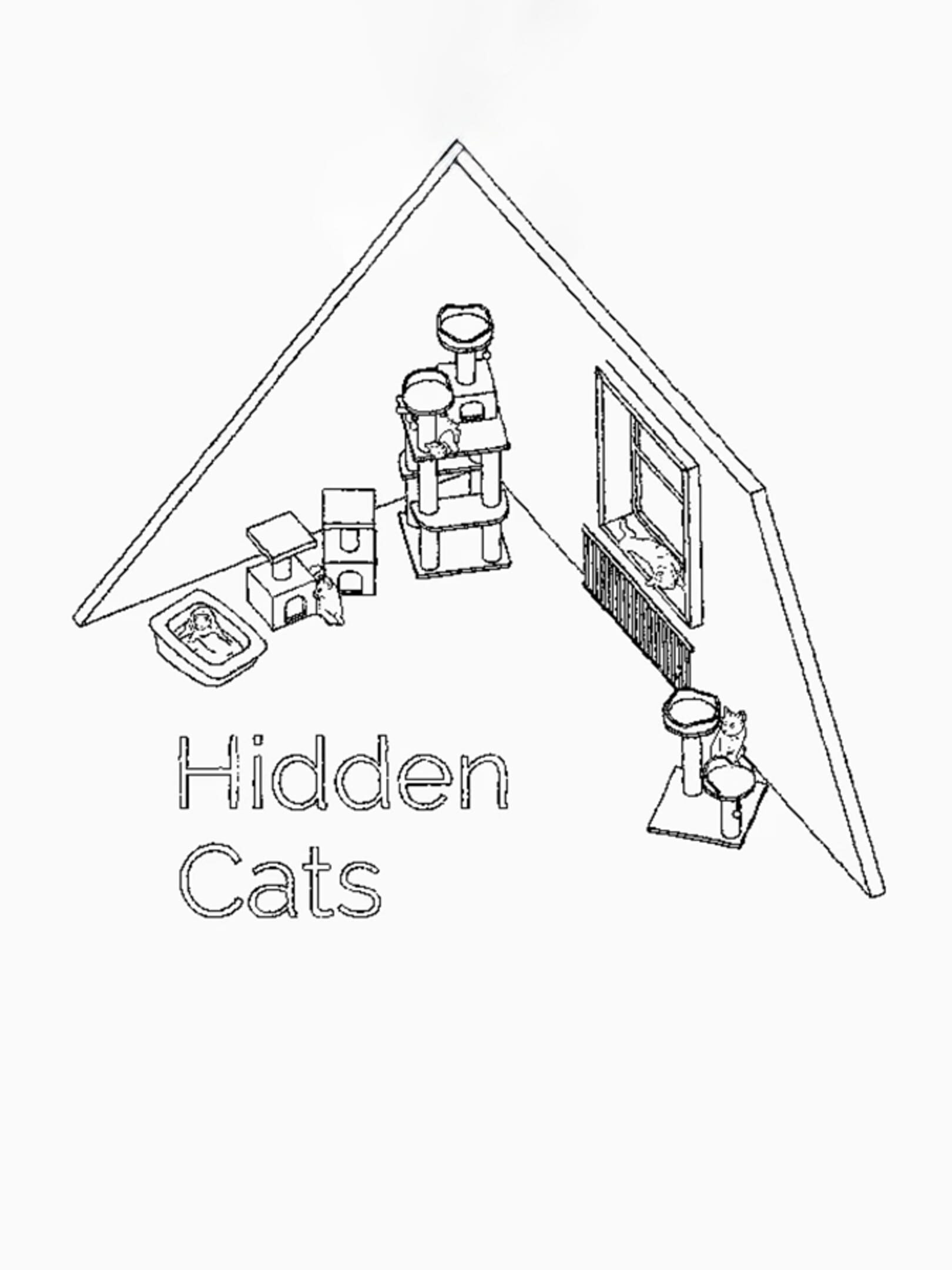 Hidden Cats cover