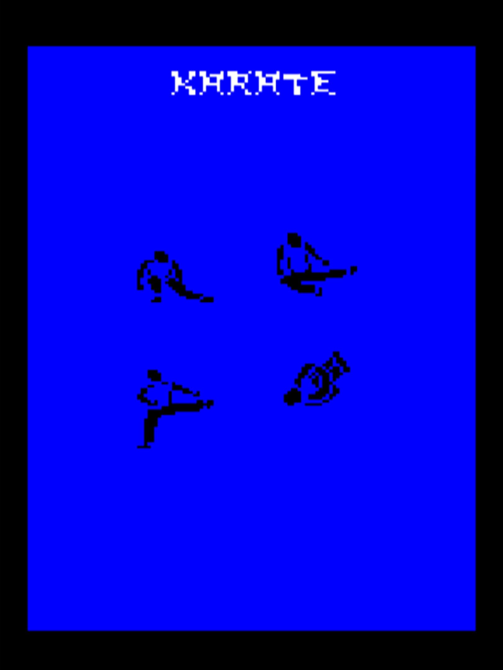 Karate Warrior