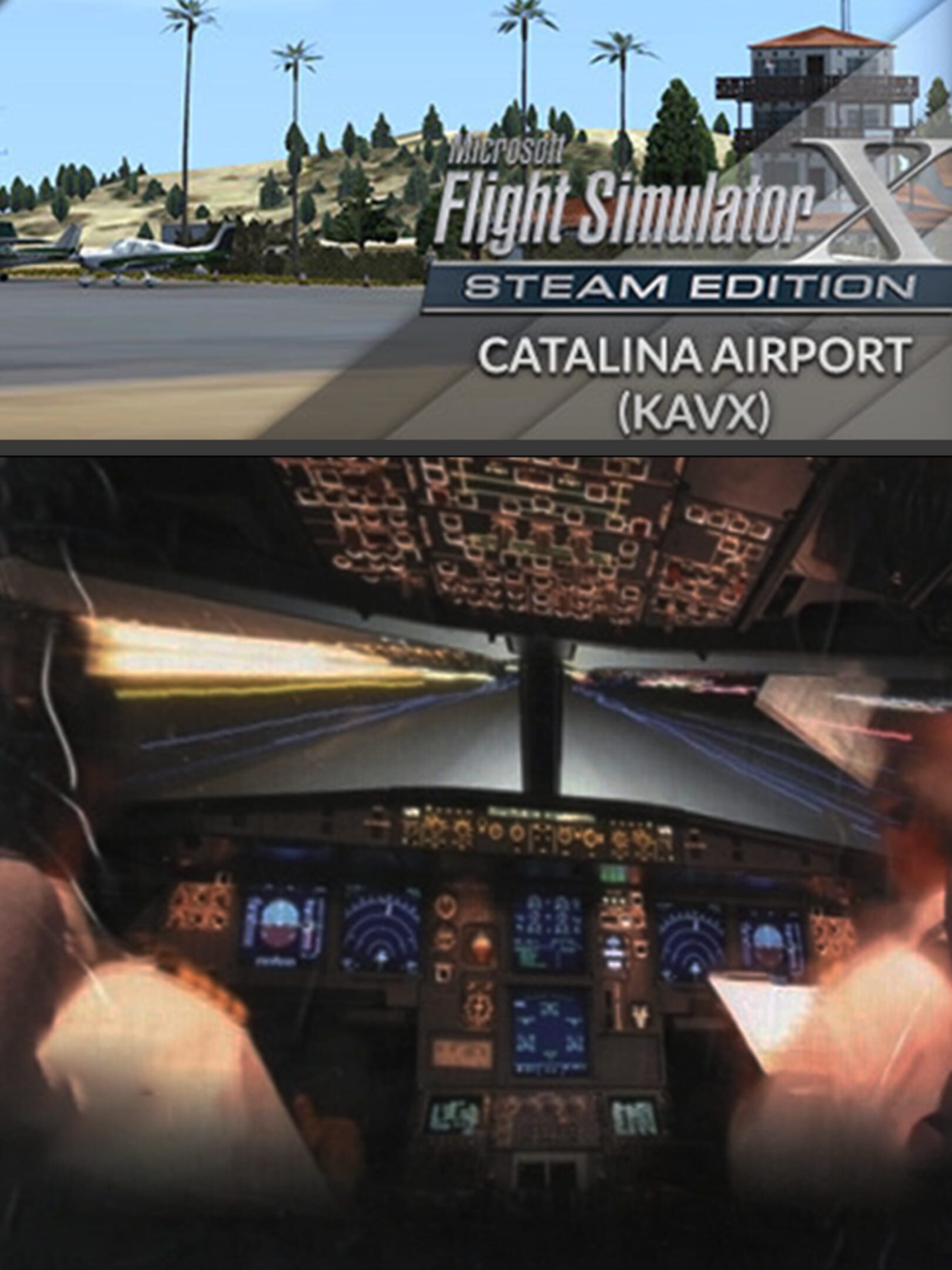Microsoft Flight Simulator X: Steam Edition - Catalina Airport (KAVX) cover
