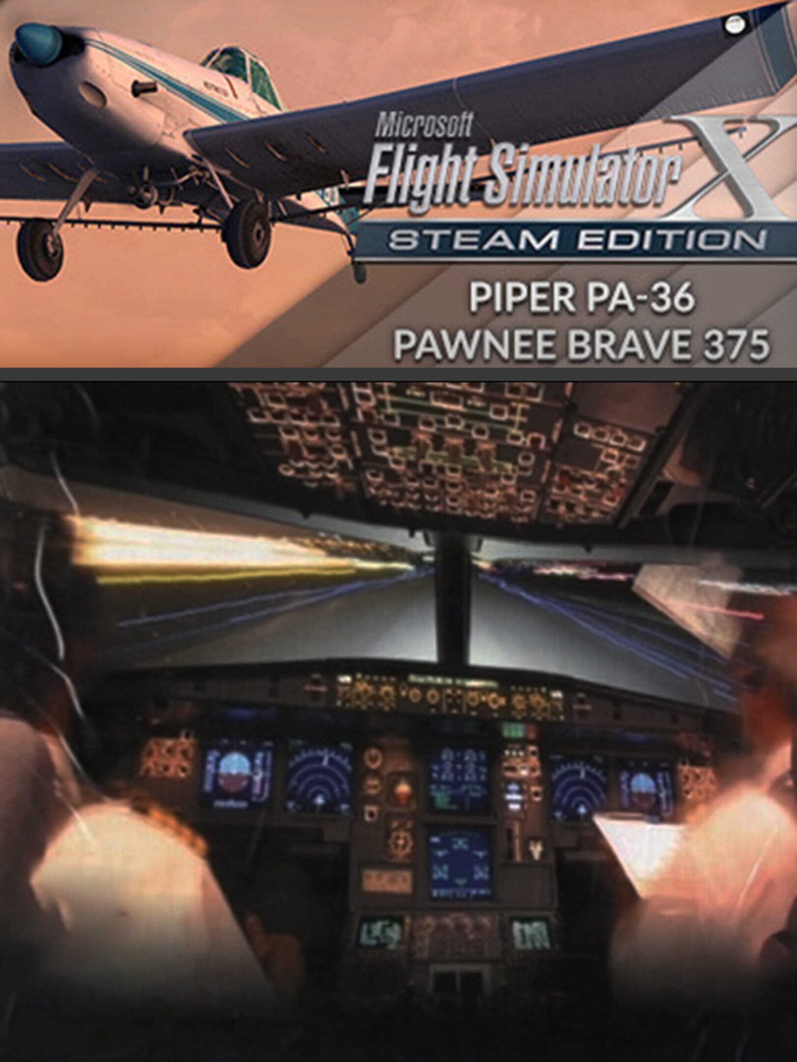 Microsoft Flight Simulator X: Steam Edition - Piper PA-36 Pawnee Brave 375 cover