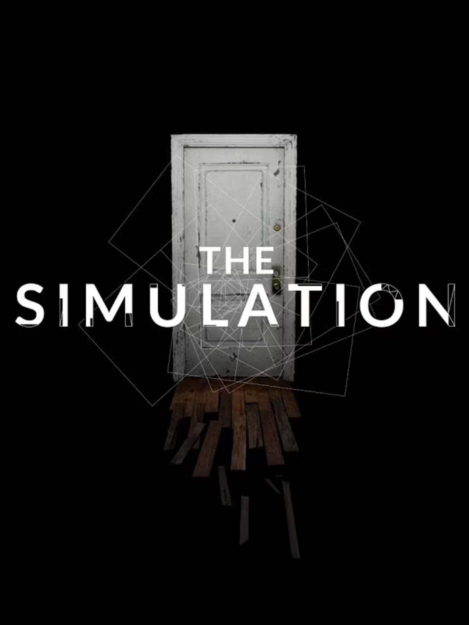 The Simulation