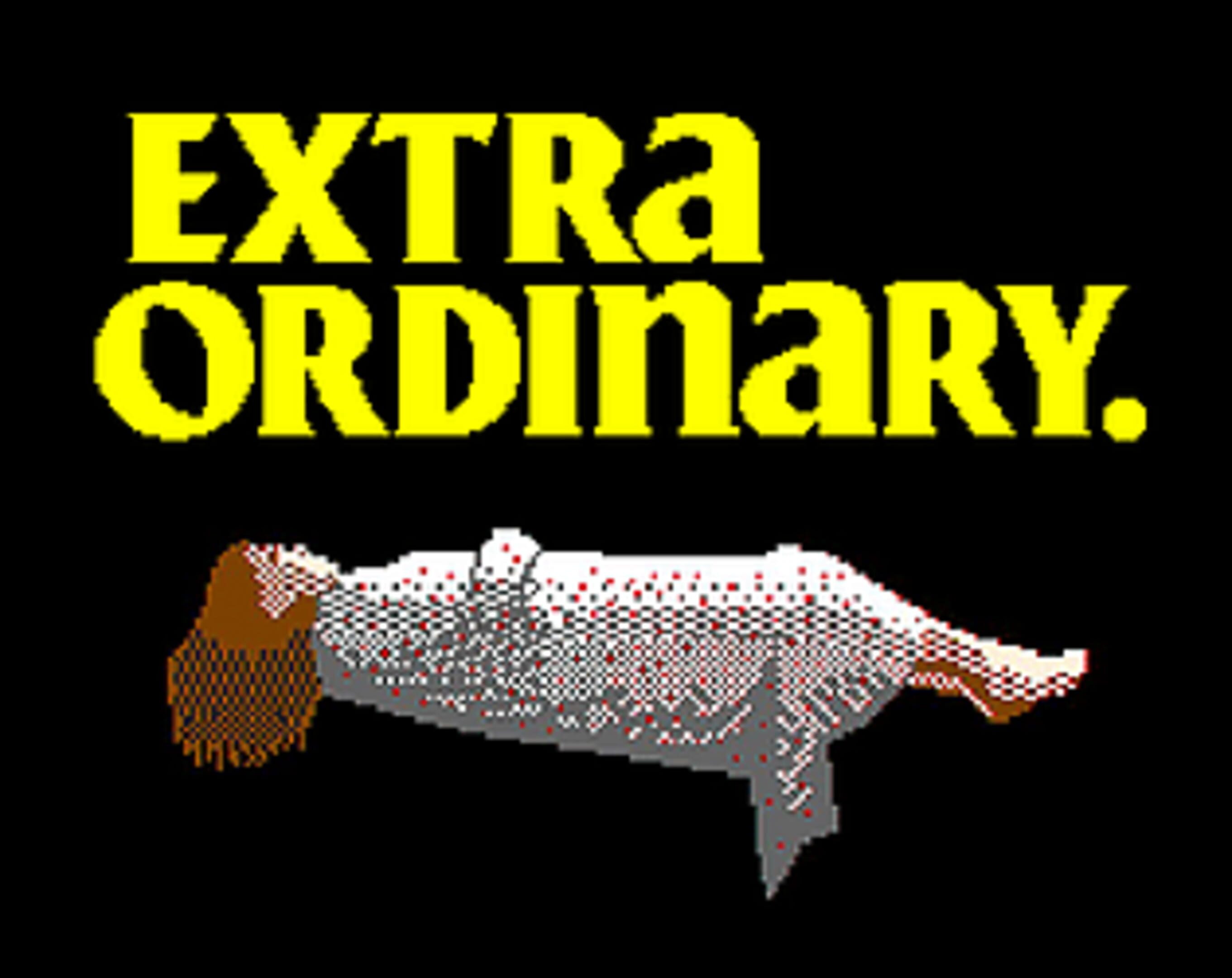 Extra Ordinary
