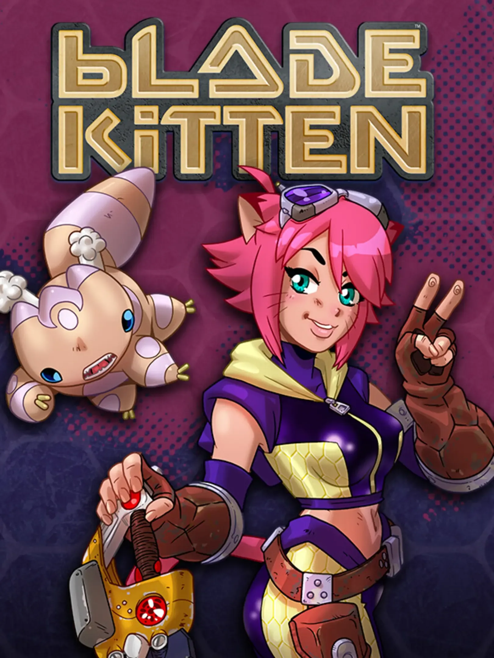 Blade Kitten Stash Games tracker