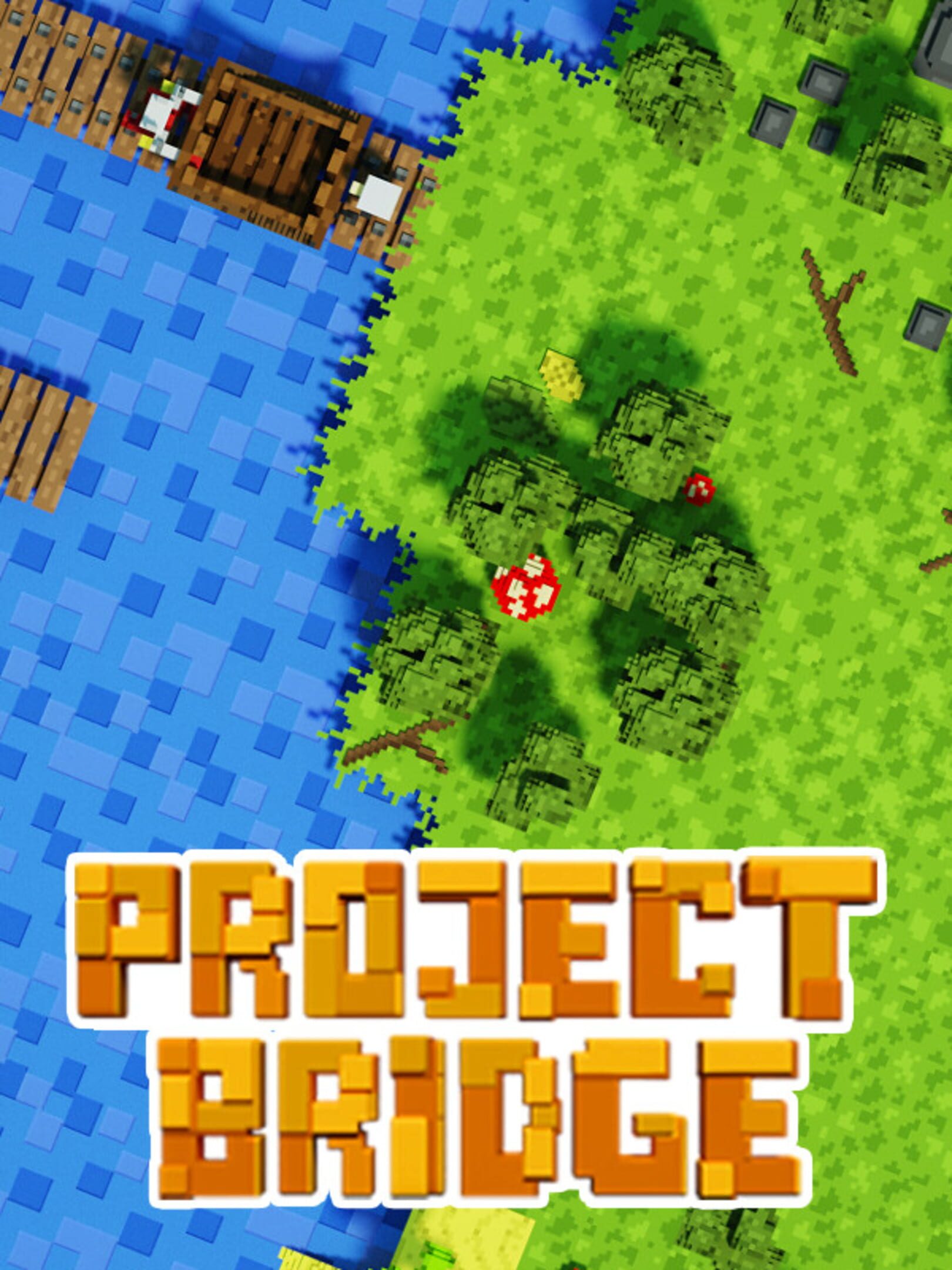 Project Bridge cover