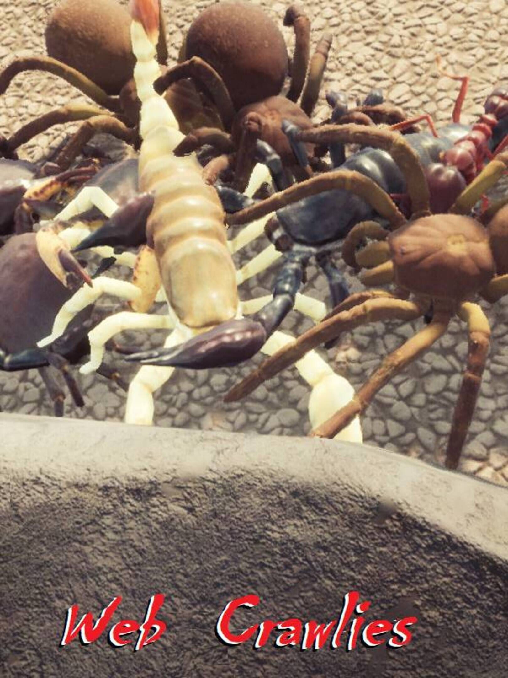 Web Crawlies