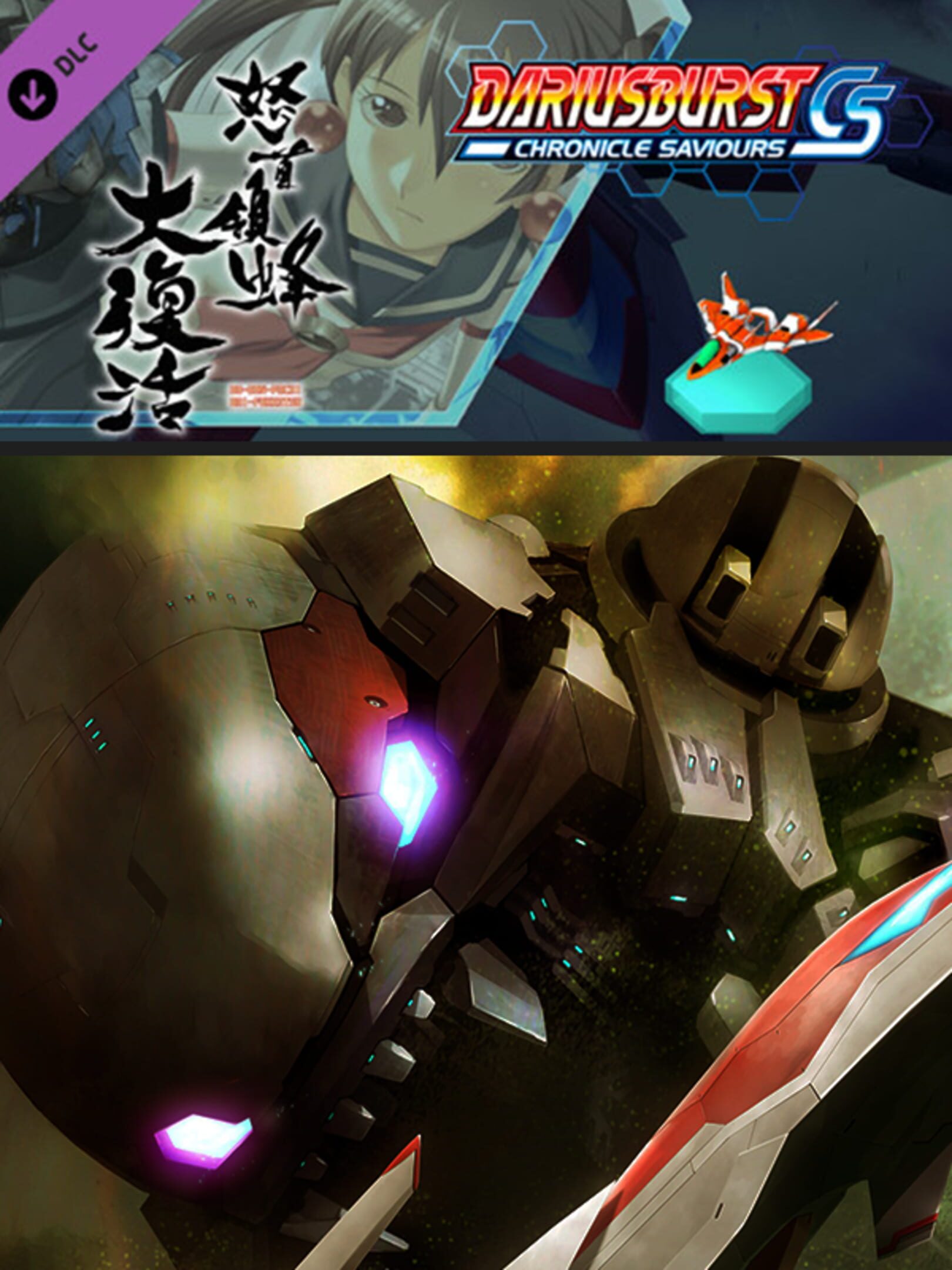 Dariusburst: Chronicle Saviours - DoDonPachi Resurrection cover