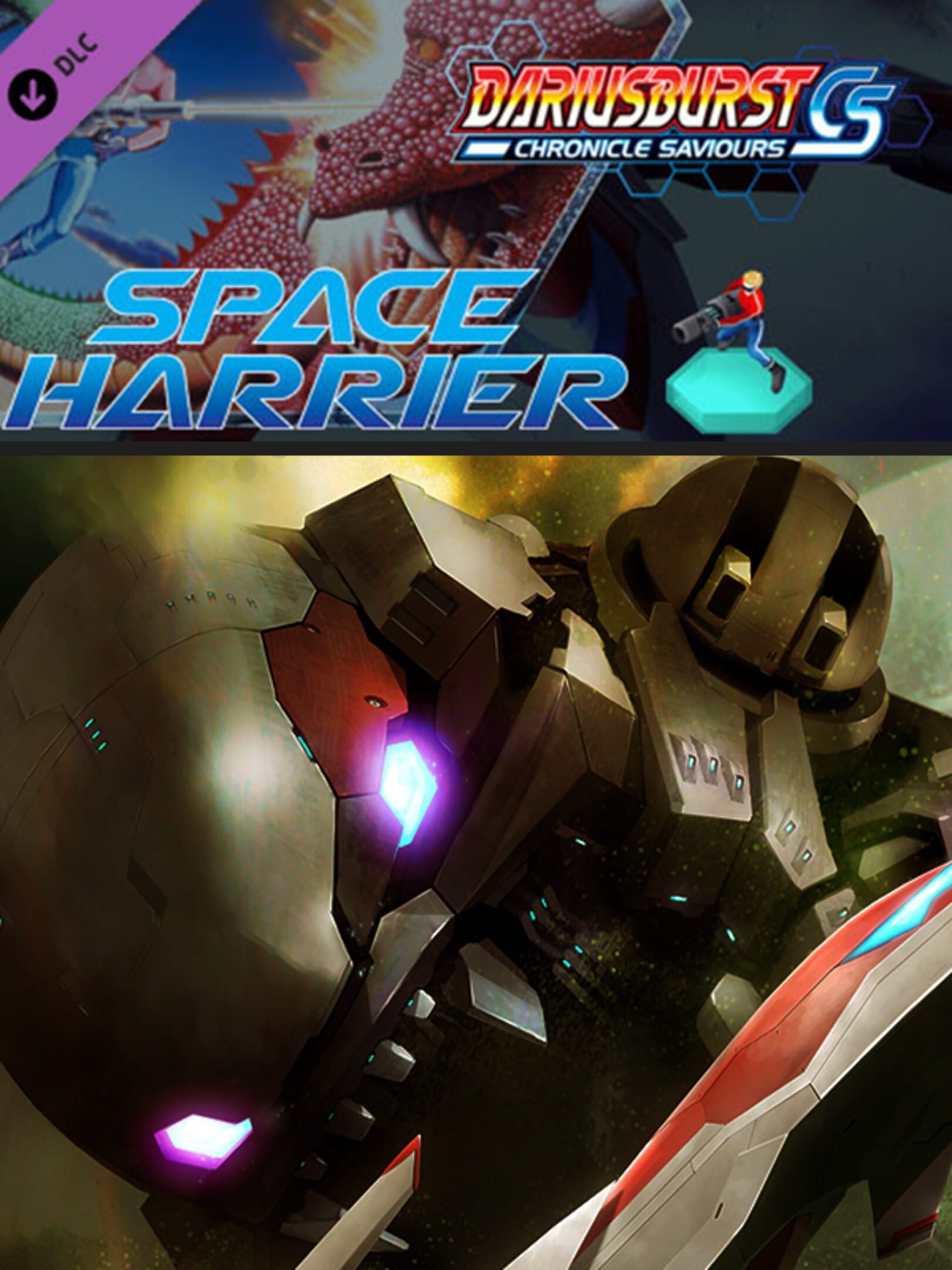 Dariusburst: Chronicle Saviours - Space Harrier cover