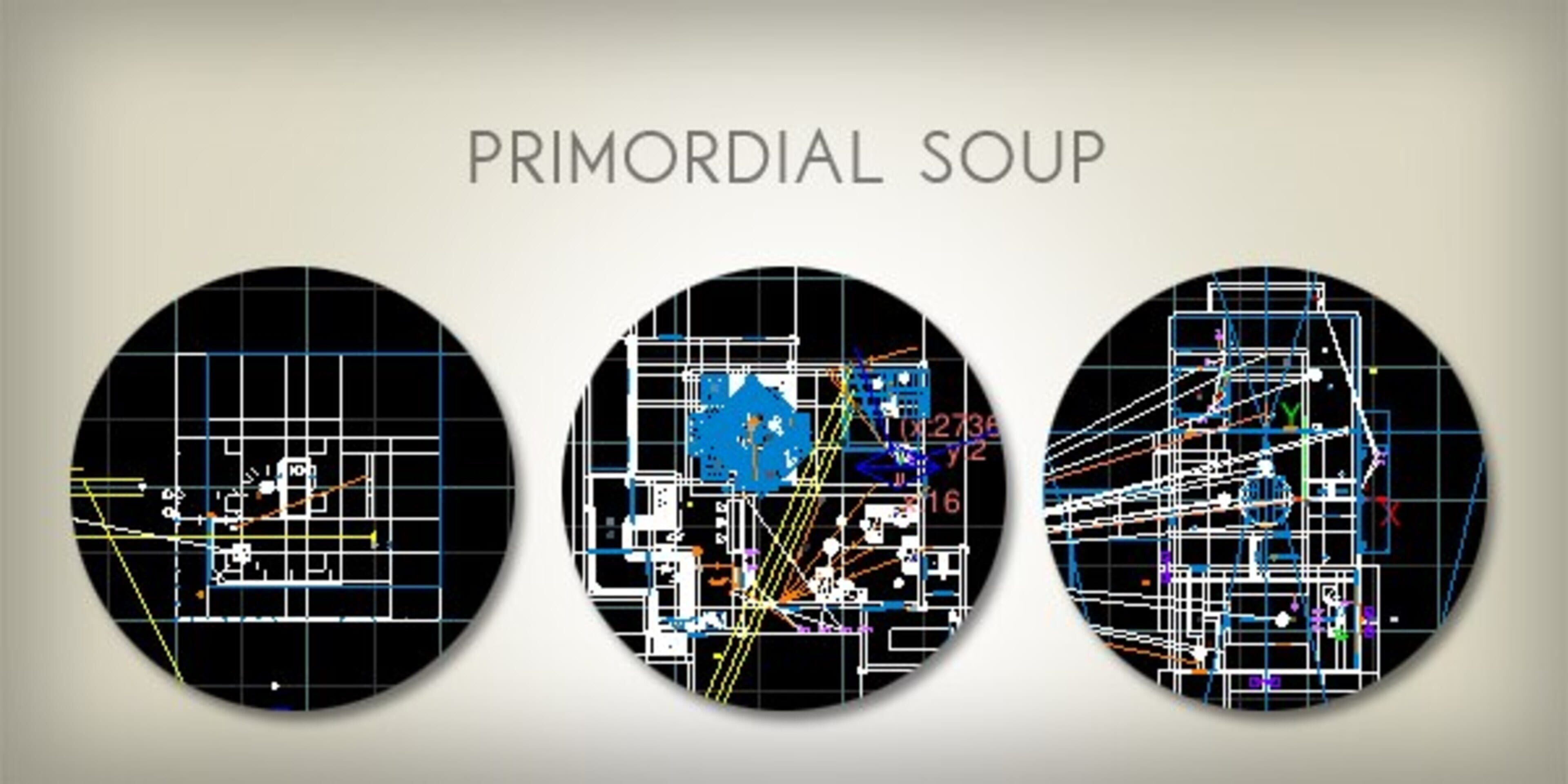 Primordial Soup
