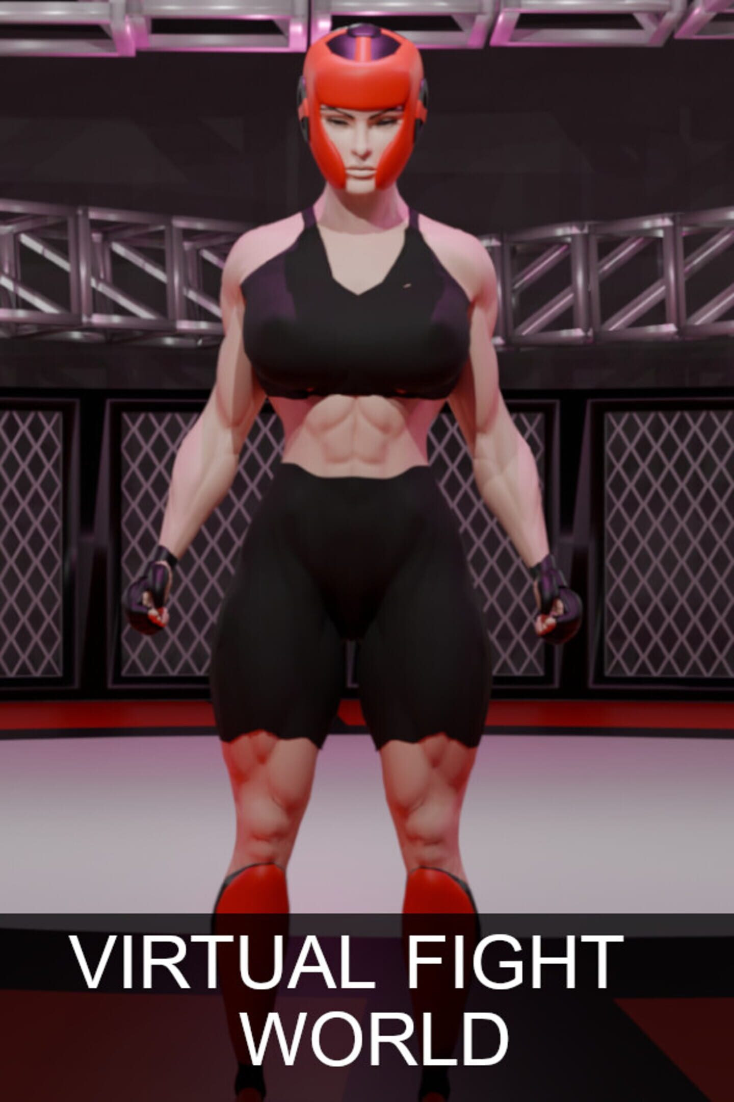 Virtual Fight World cover