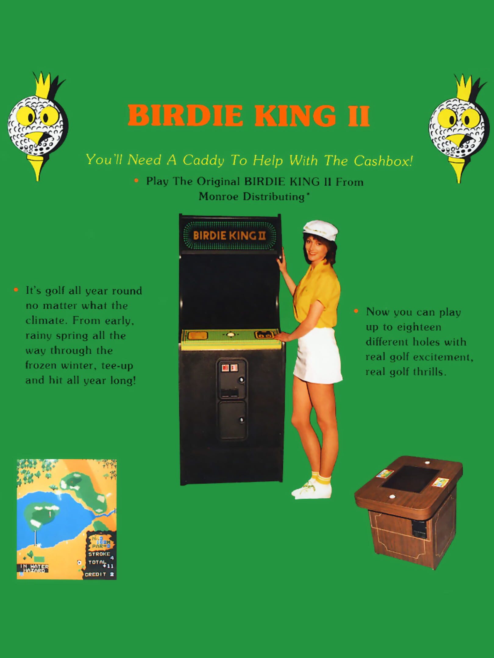 Birdie King 2 cover