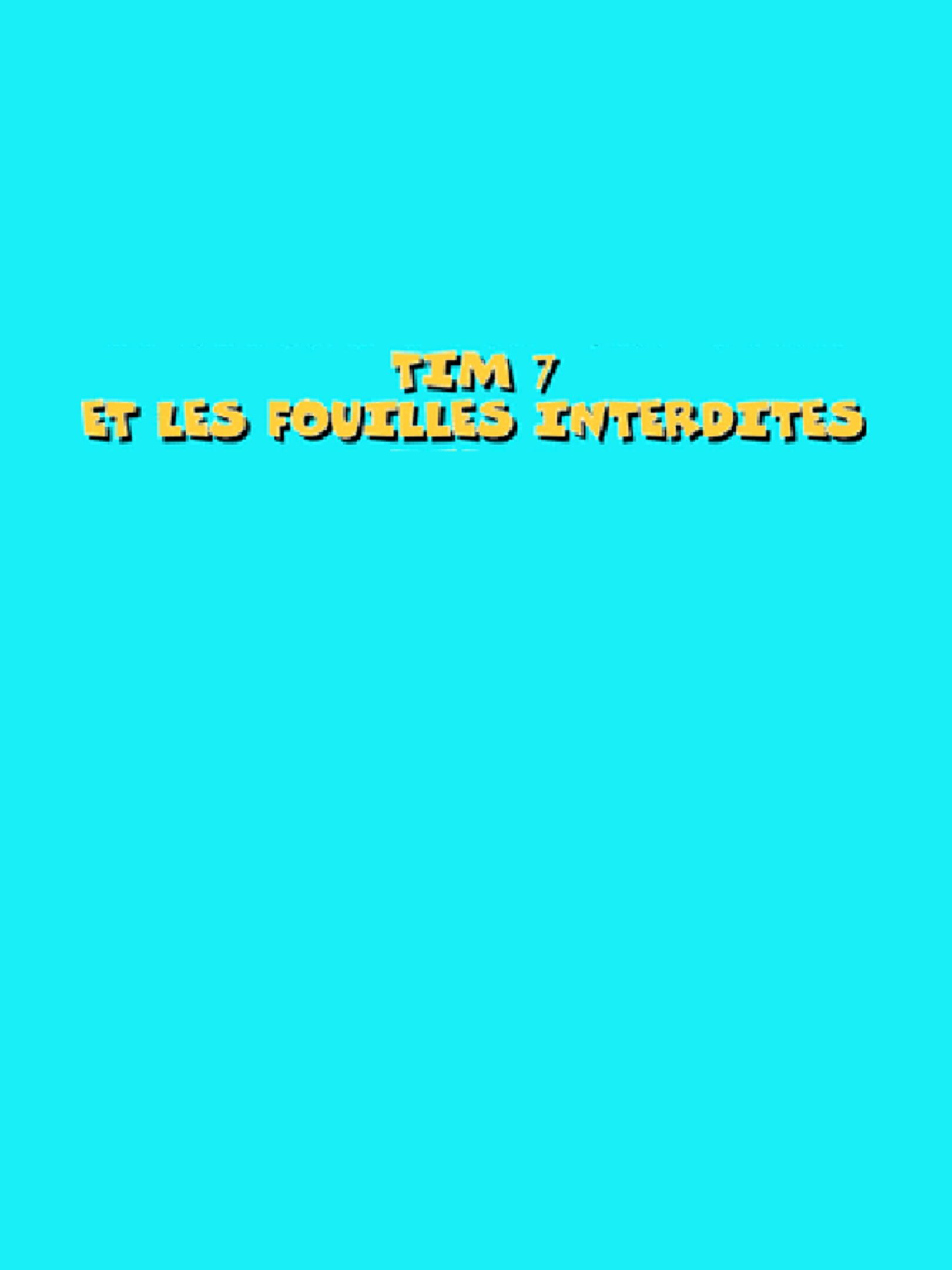Tim 7: Et Les Fouilles Interdites