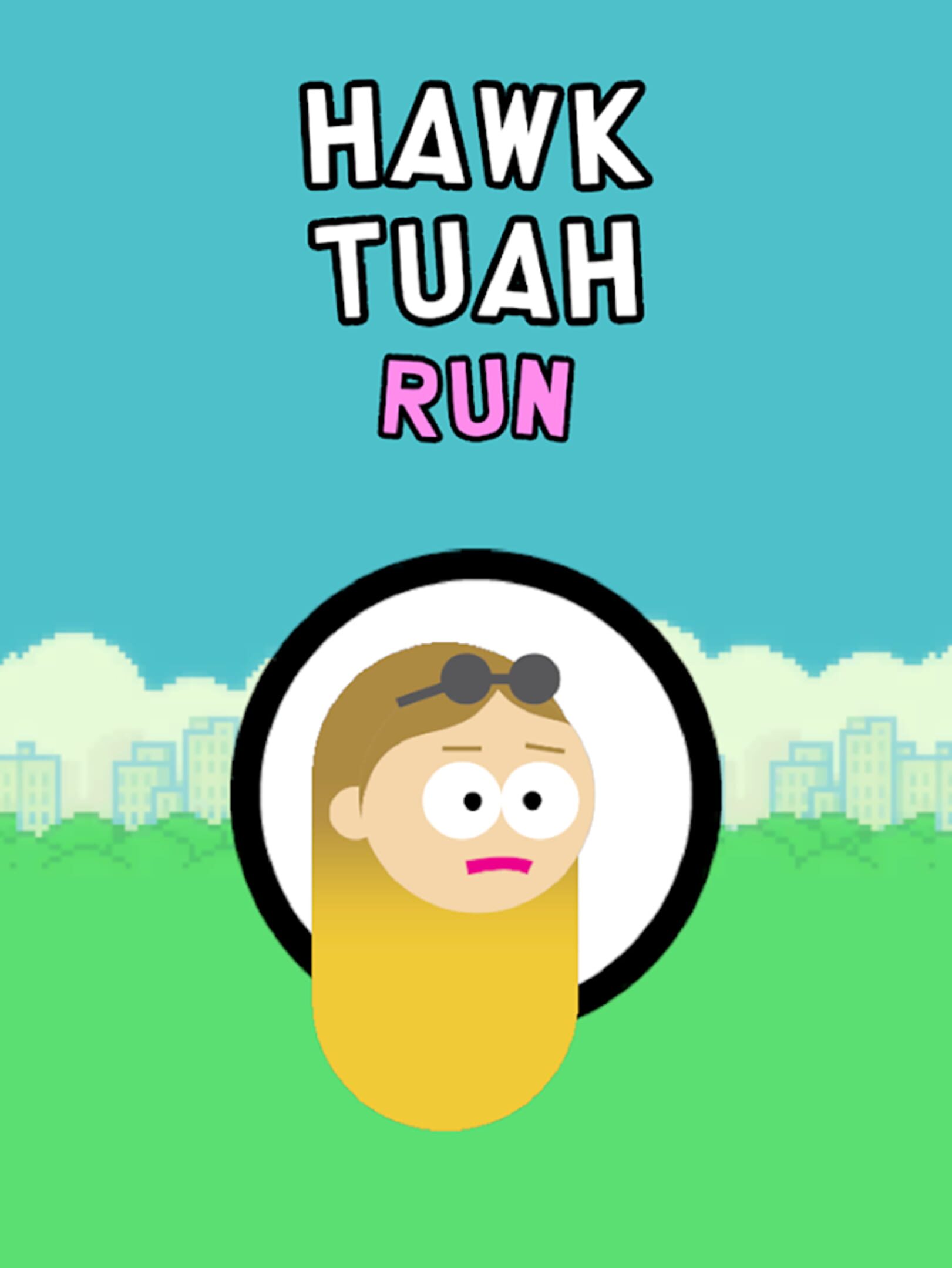 Hawk Tuah Run cover