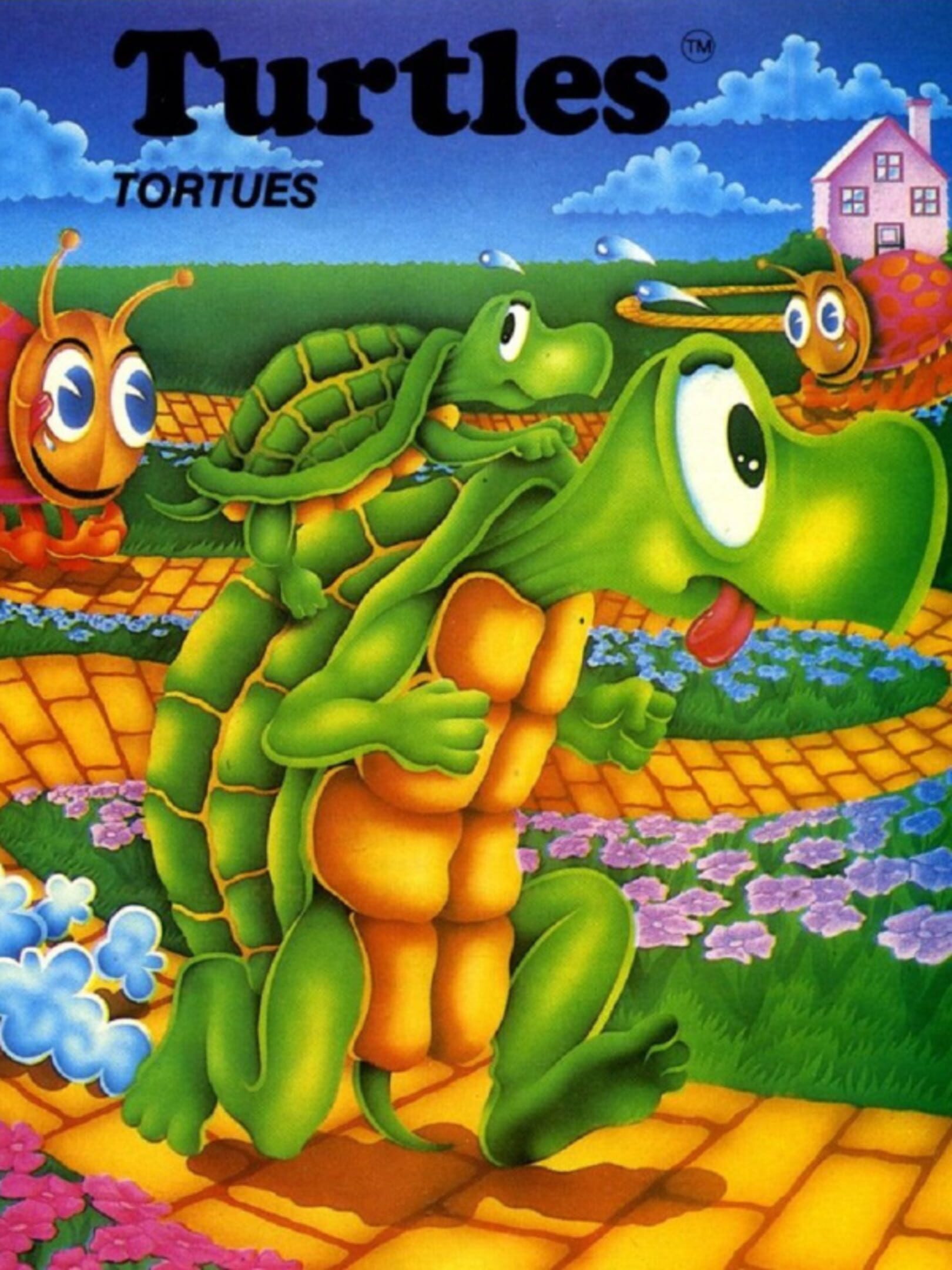 Turtles