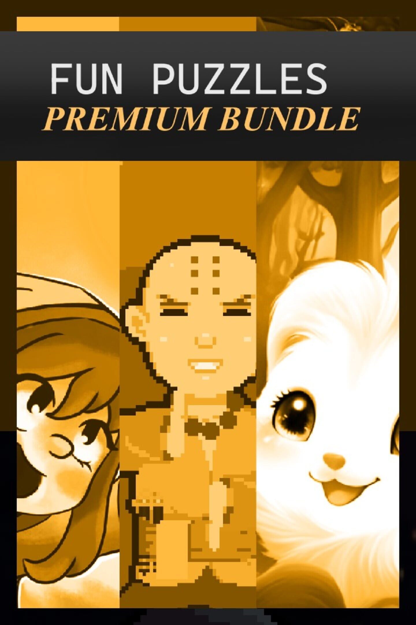 Fun Puzzles Premium Bundle cover