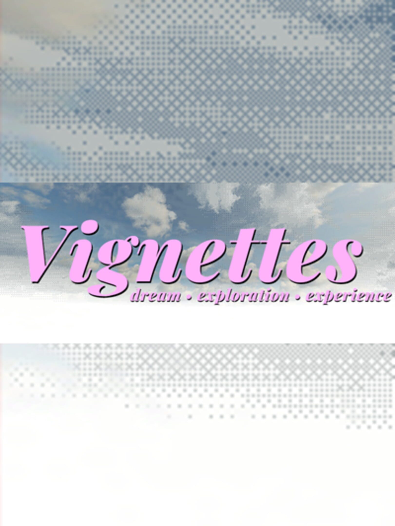 Vignettes cover