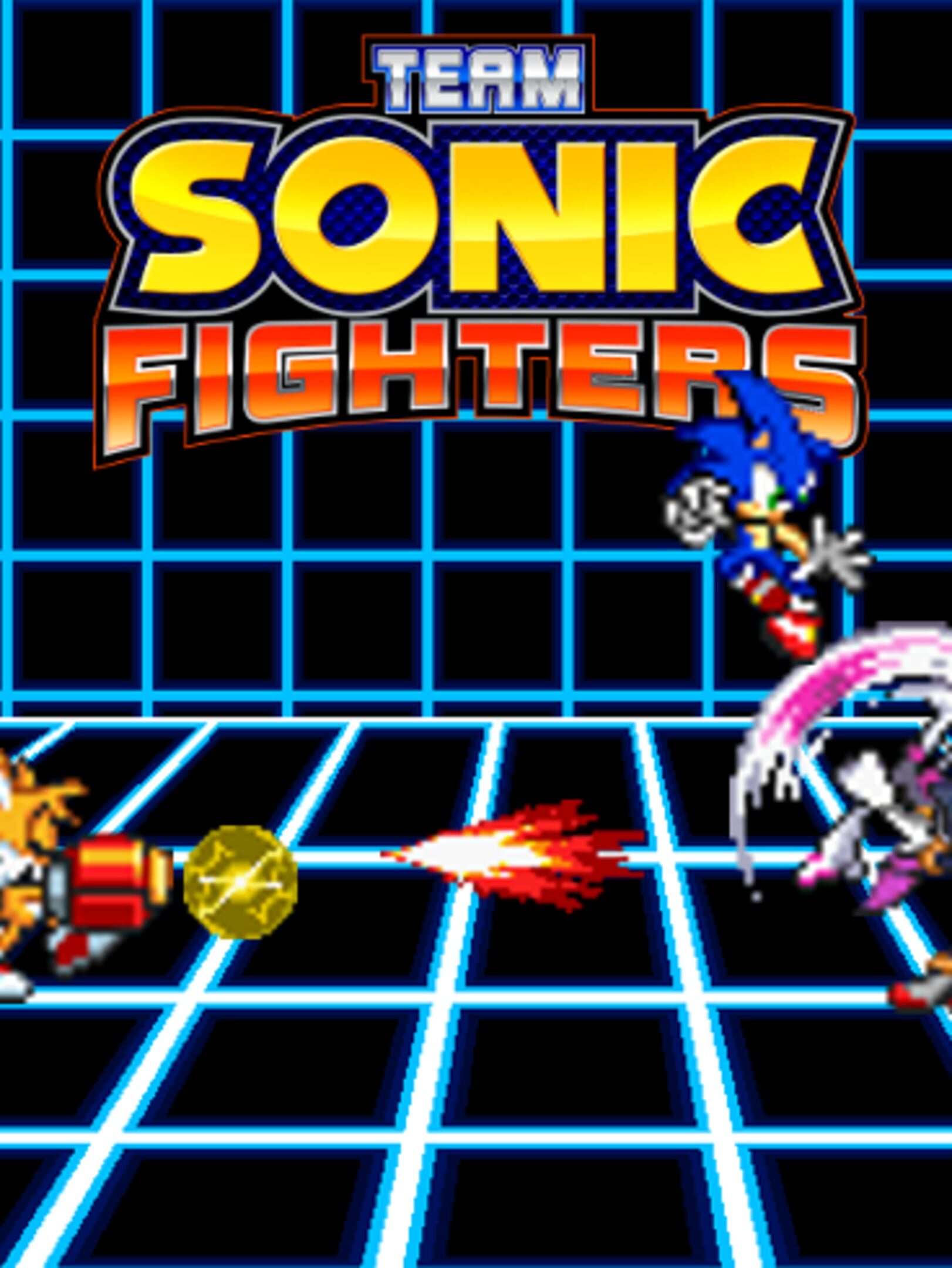 Team Sonic Fighters cover