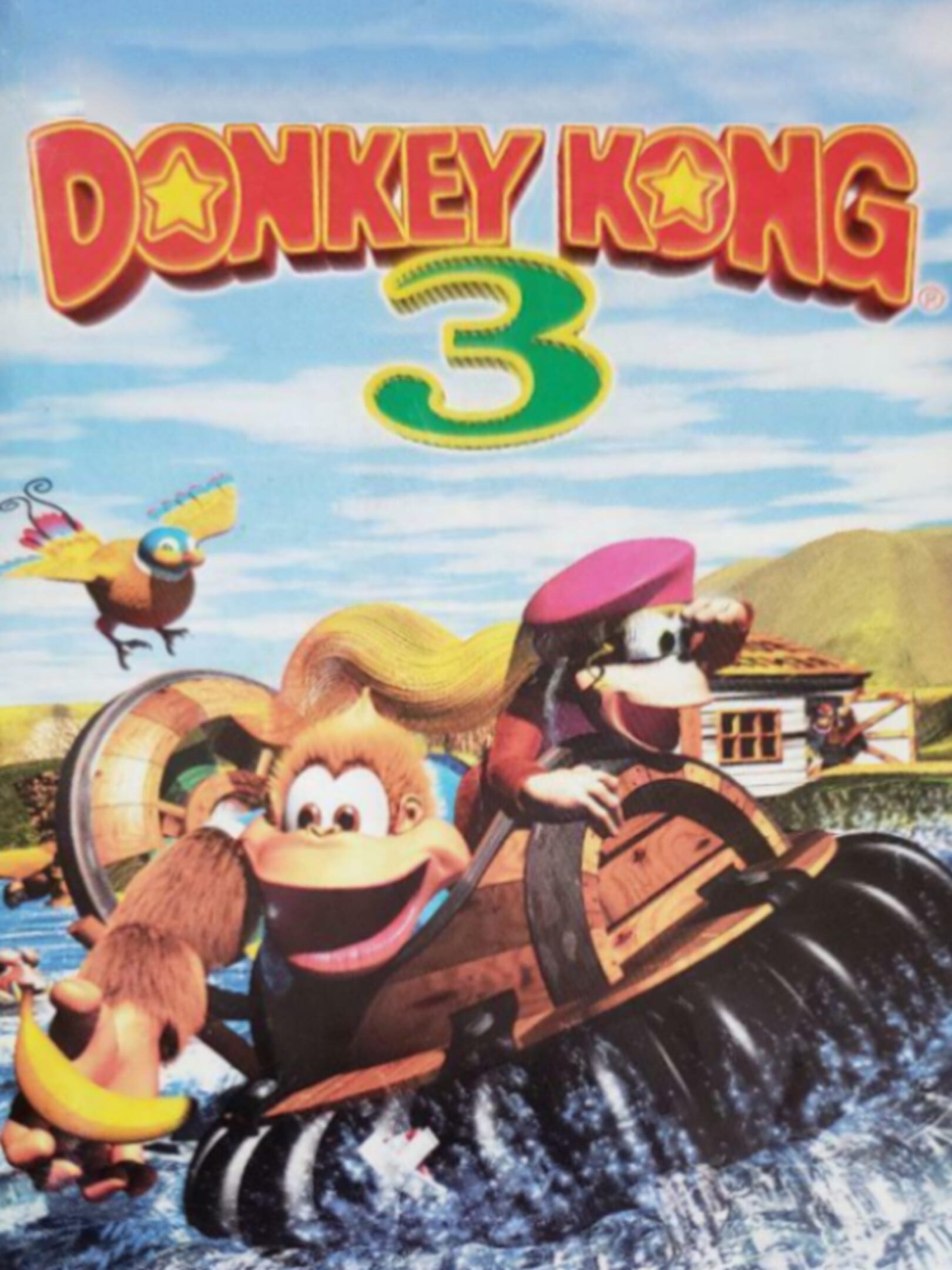 Super Donkey Kong 3 cover