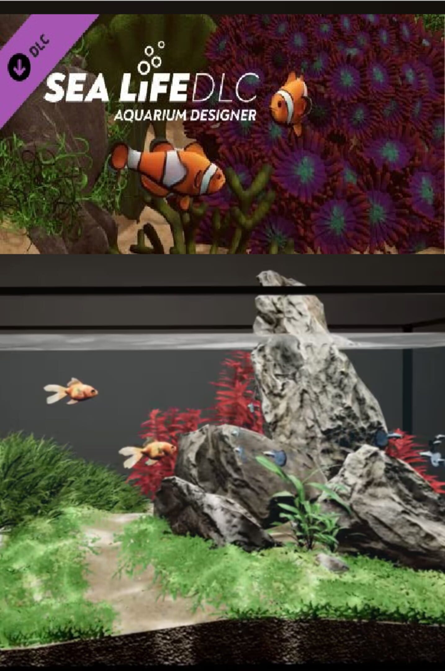 Aquarium Designer: Sea Life cover