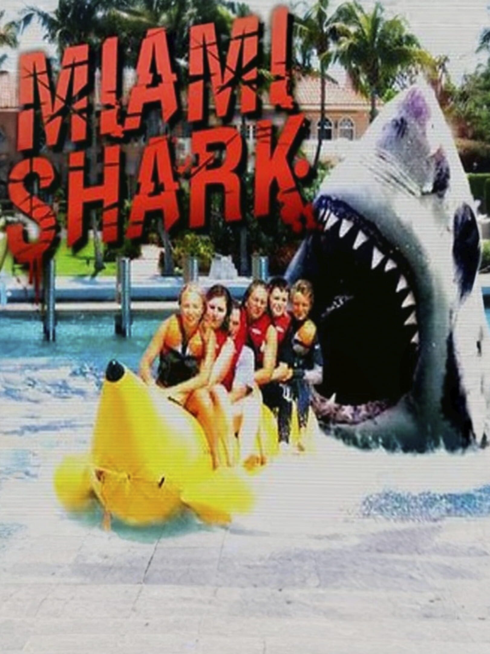 Miami Shark