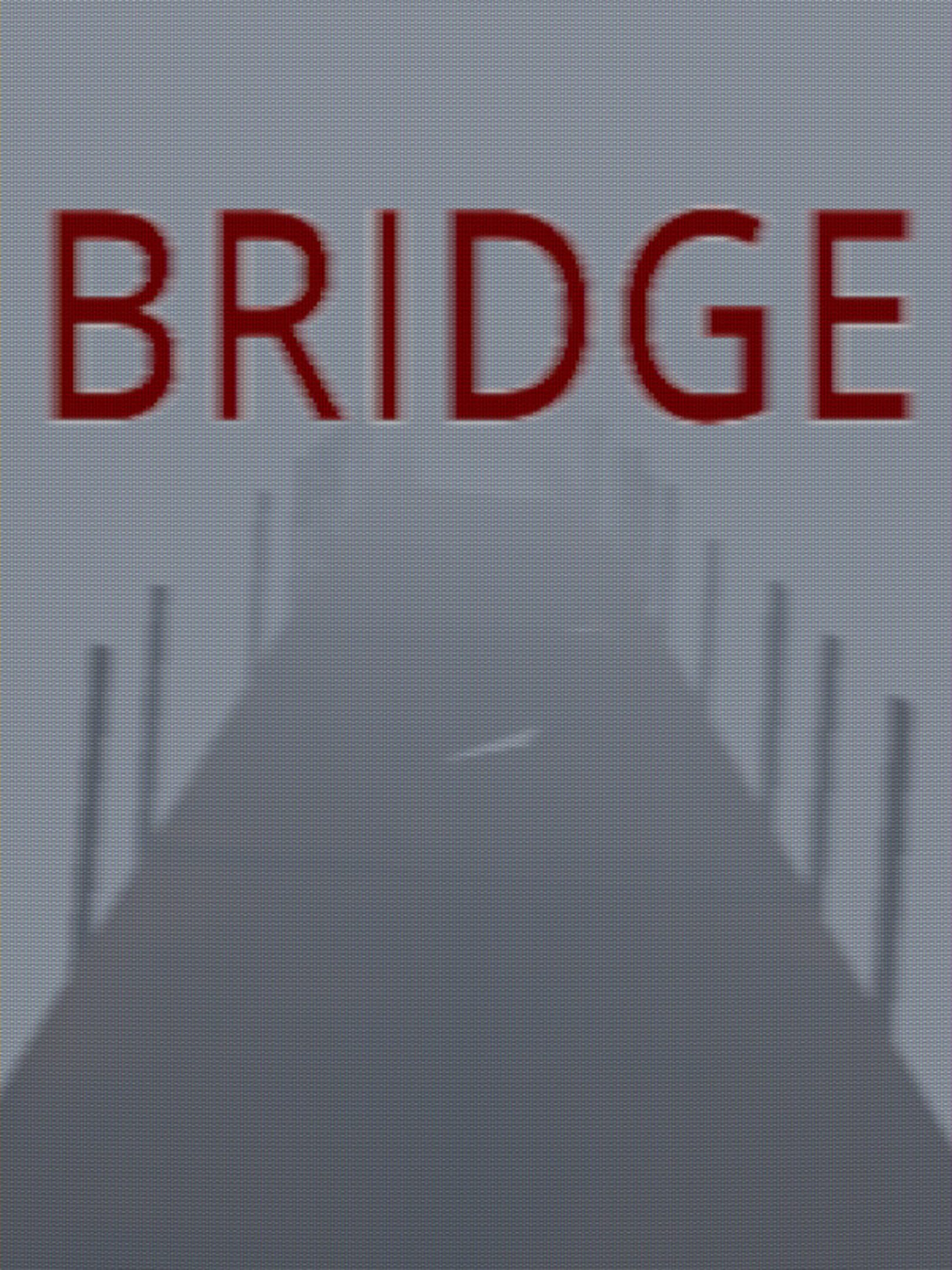 Bridge cover