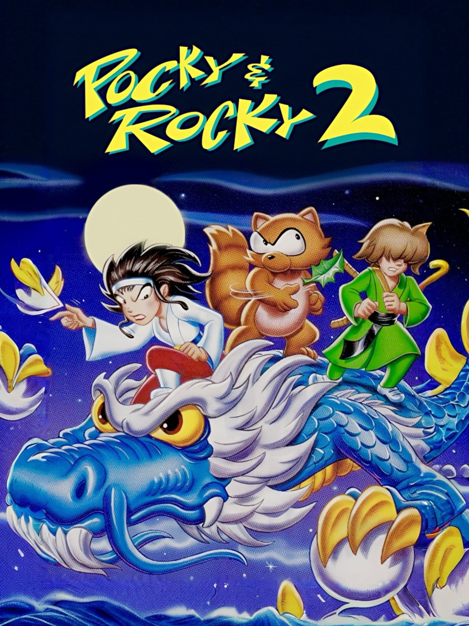 Pocky & Rocky 2