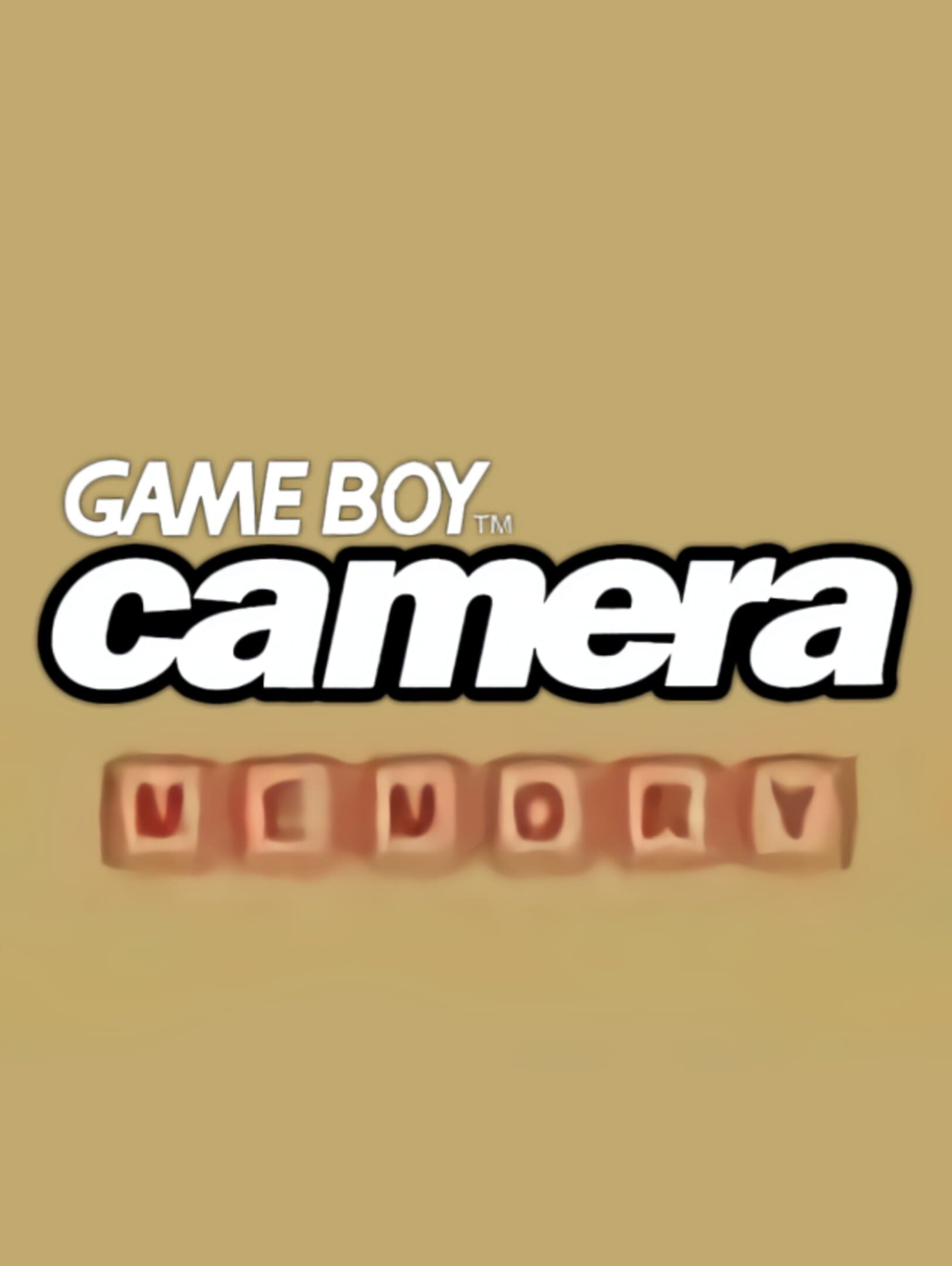 Game Boy Camera Memory cover