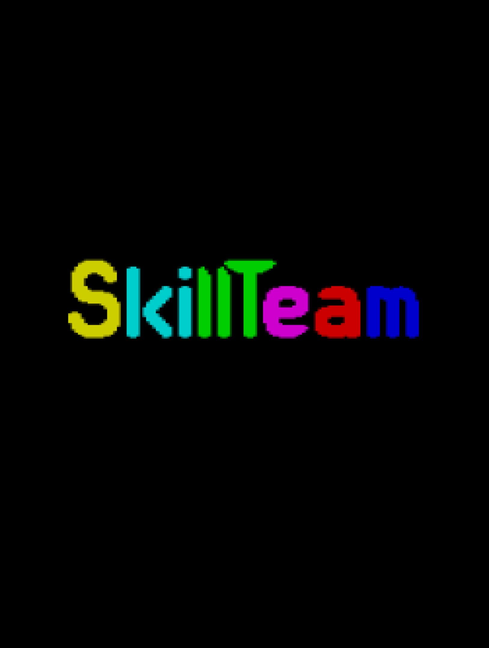 SkillTeam cover