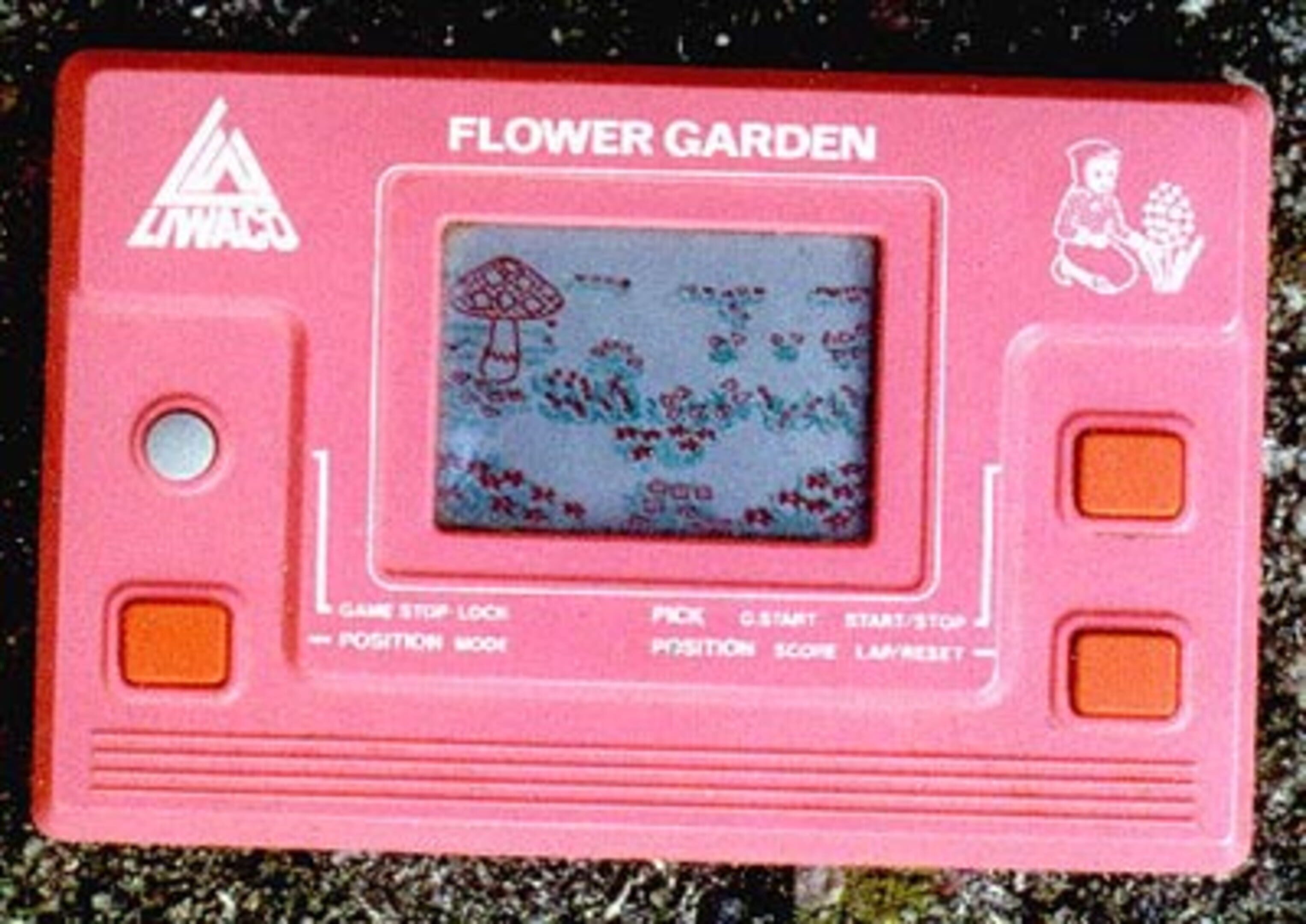Flower Garden