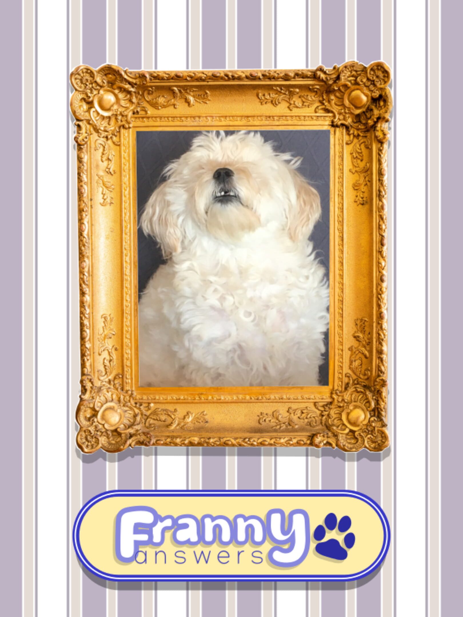 Franny Answers