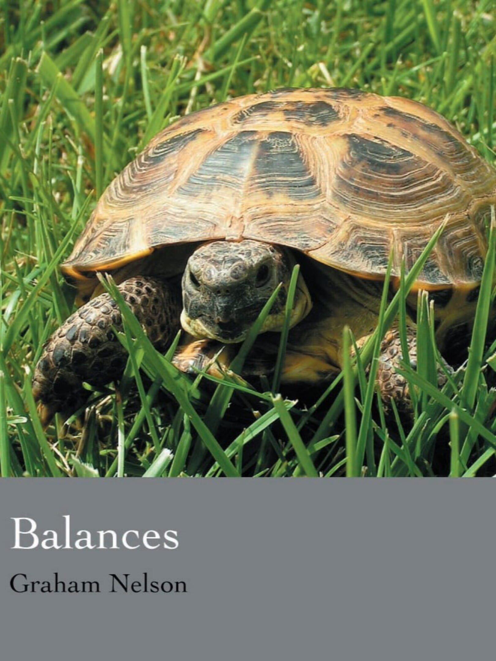 Balances