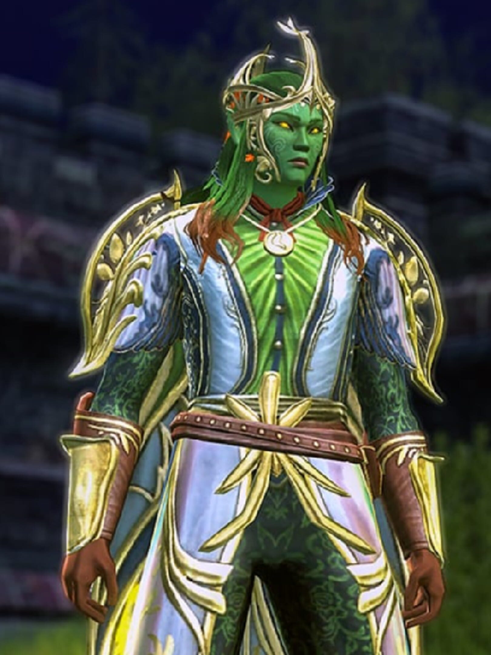 Dungeons & Dragons Online: Premium Archetype - Wild Mage