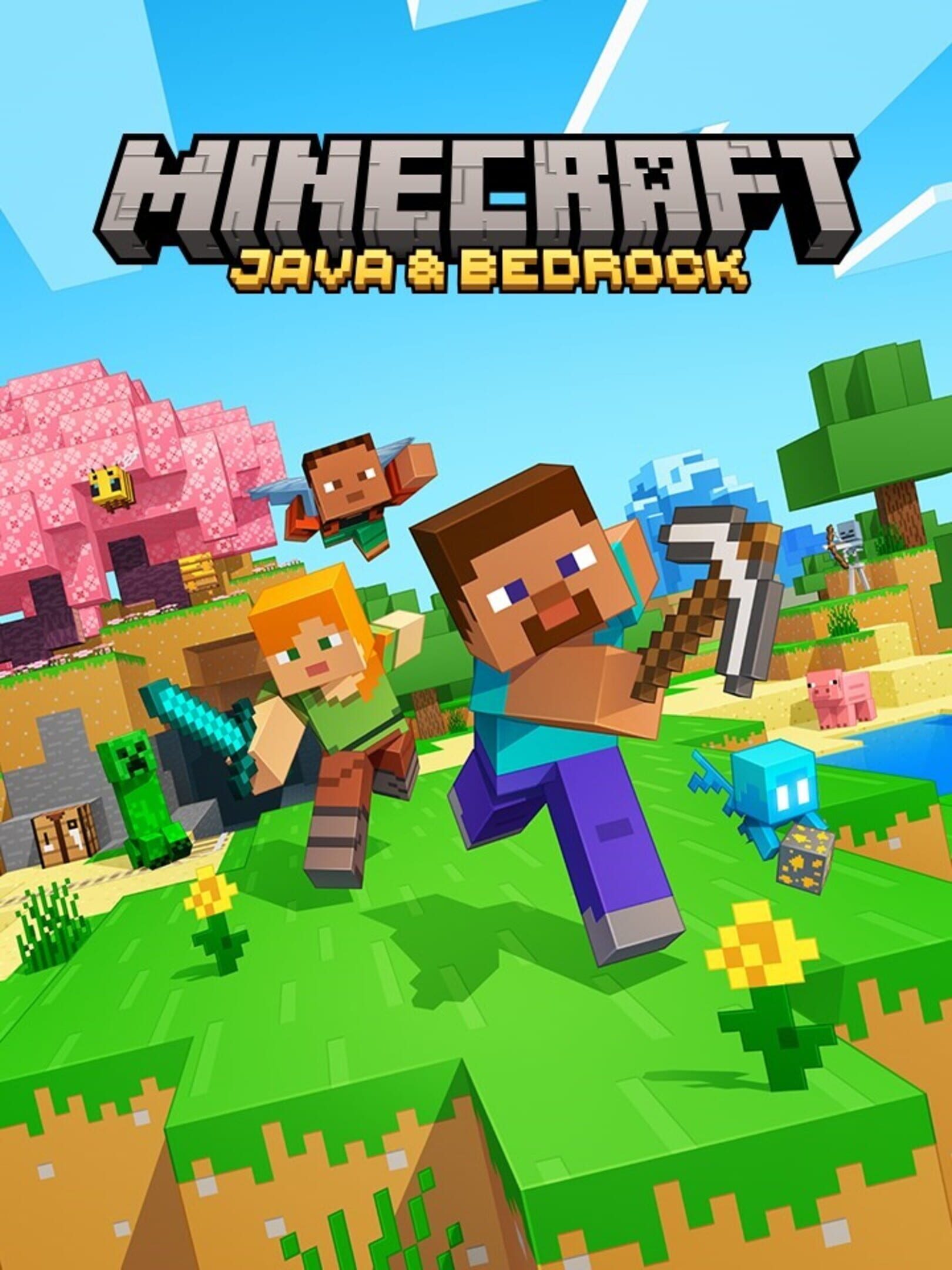 Minecraft: Java & Bedrock Edition cover
