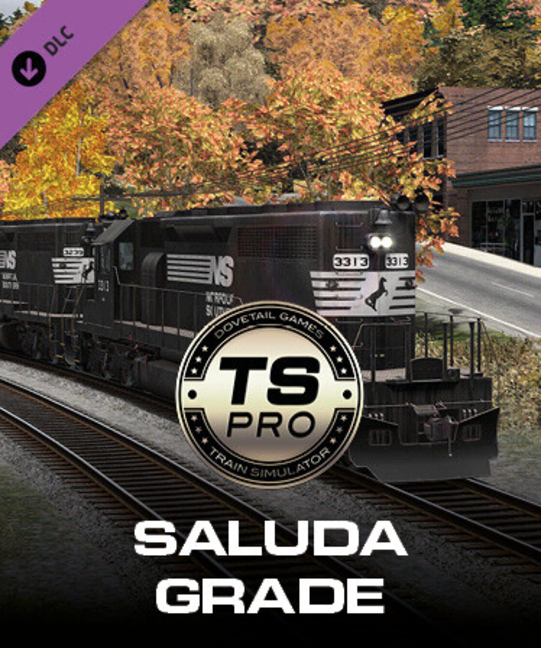 Train Simulator Classic: Norfolk Southern Saluda Grade Route Add-On cover