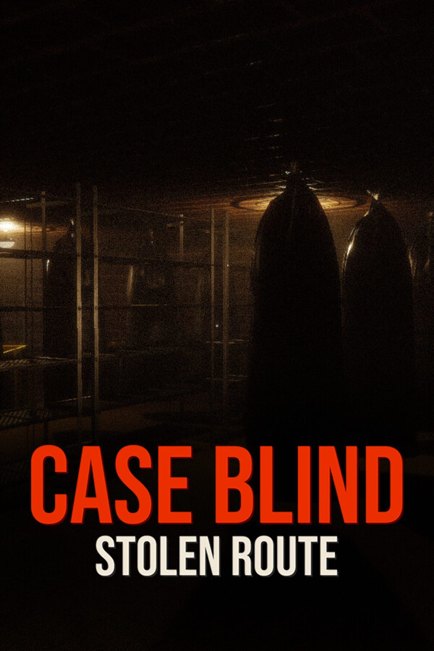 Case Blind: Stolen Route cover