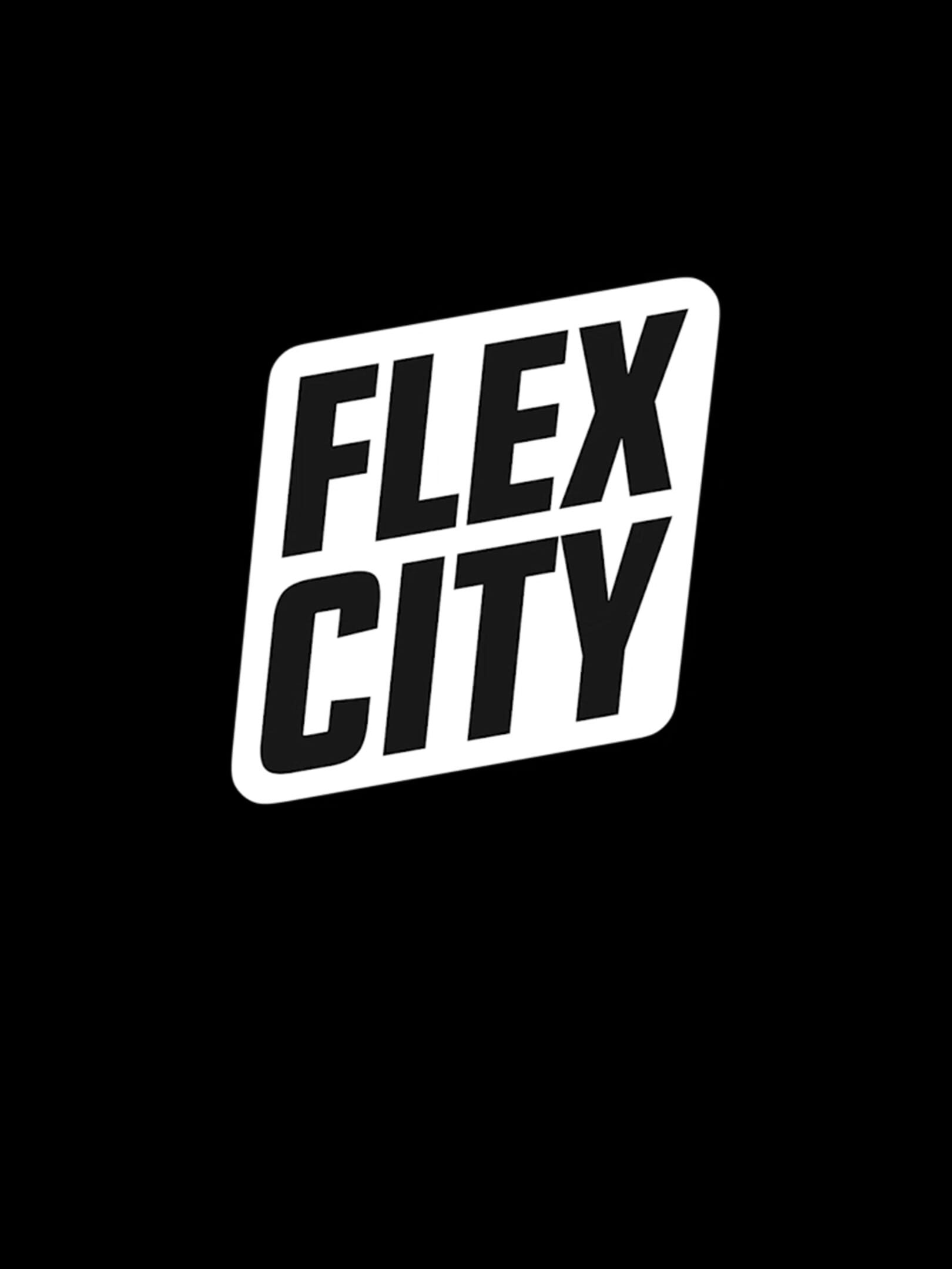Flex City cover