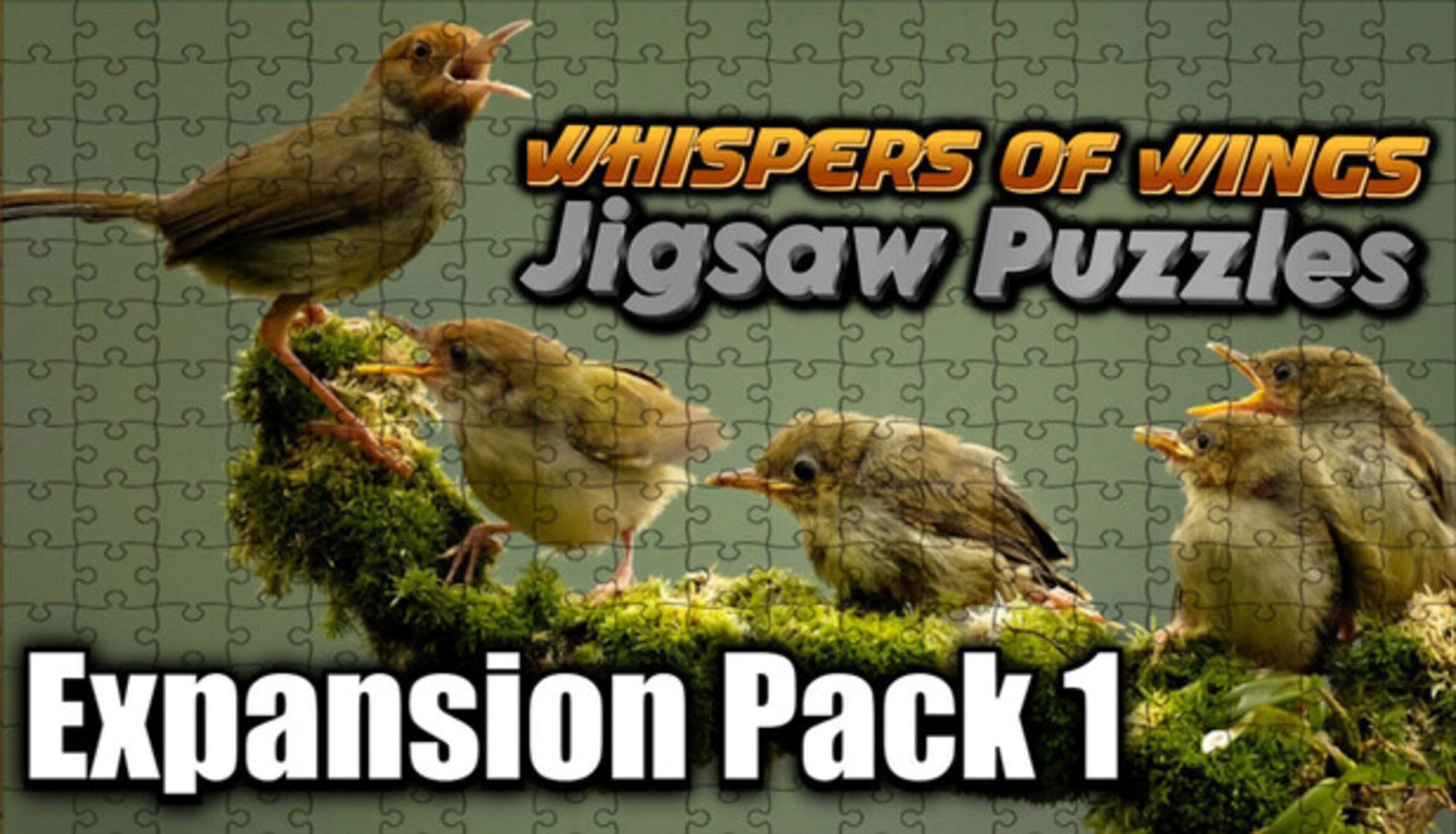 Whispers of Wings Jigsaw Puzzles: Expansion Pack 1 cover