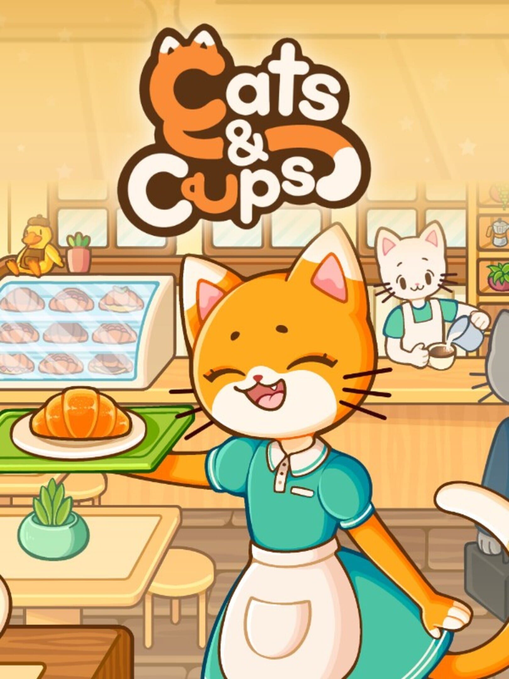 Cats & Cups