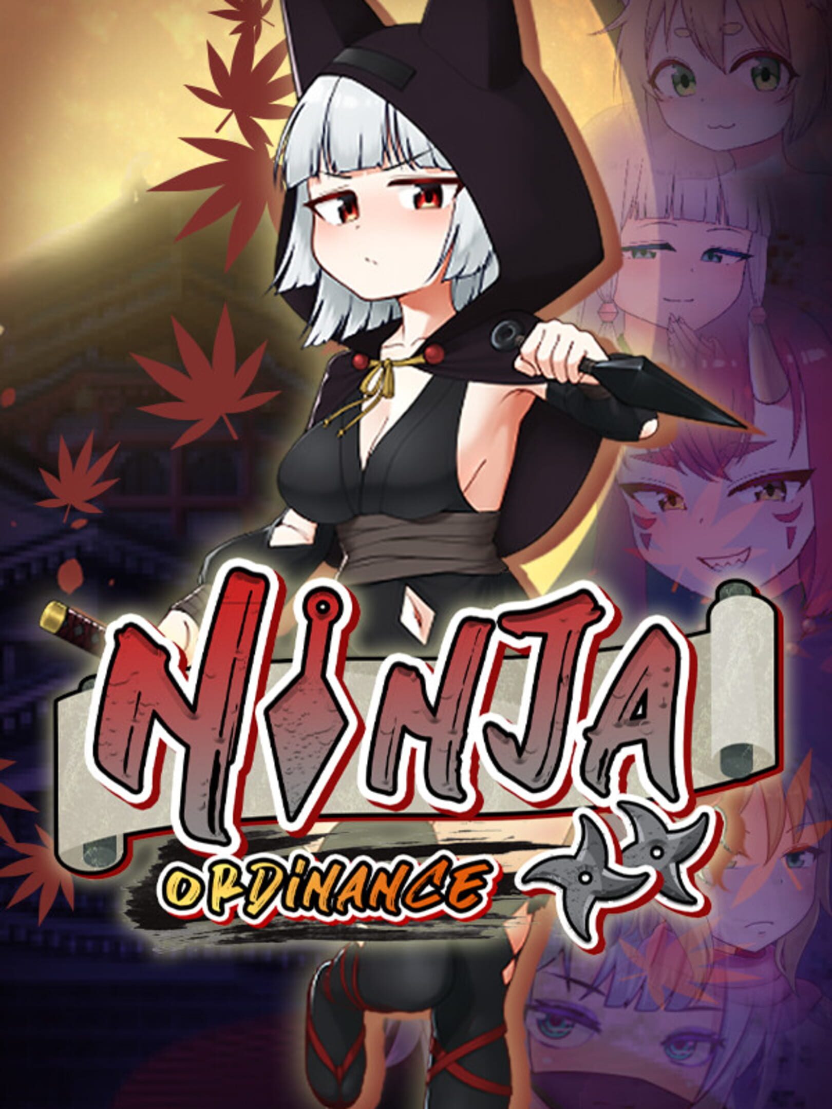 Ninja Ordinance