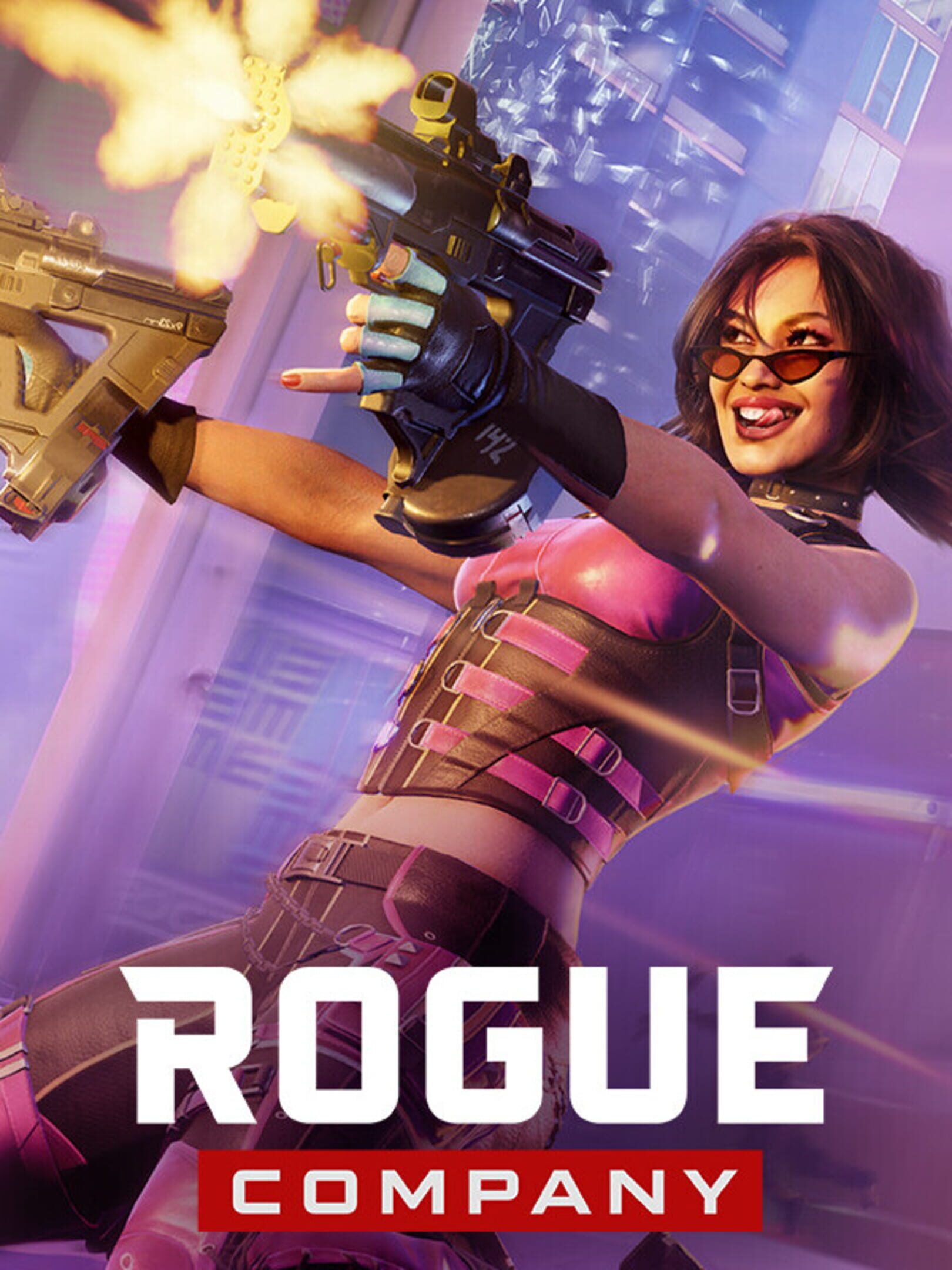 Rogue Company
