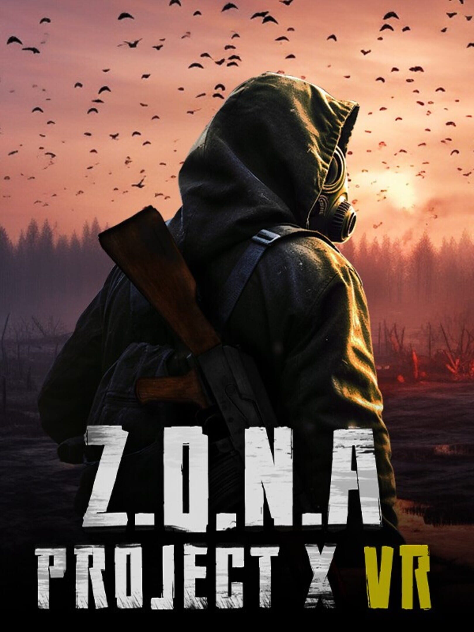 Z.O.N.A Project X VR