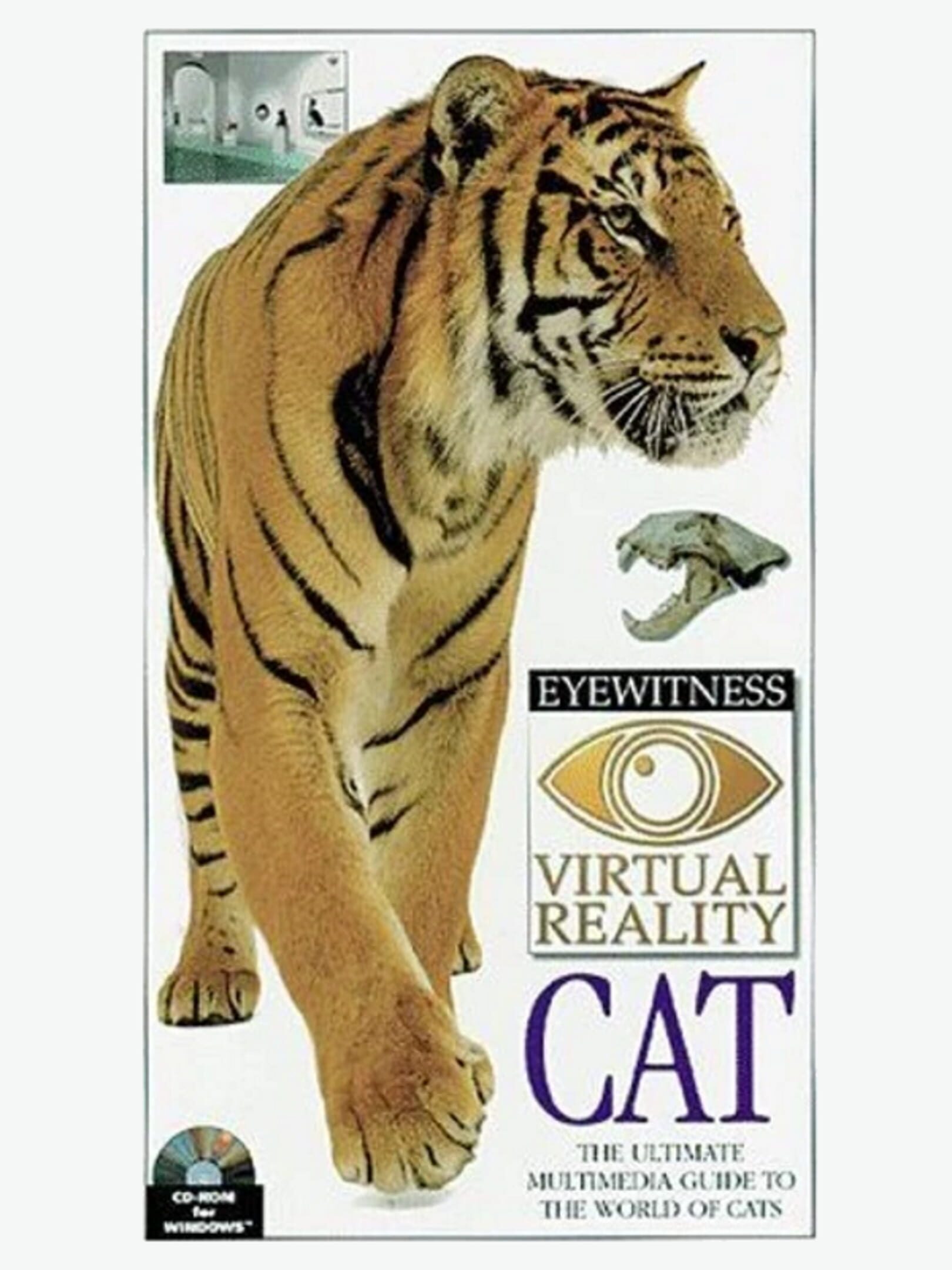 Eyewitness Virtual Reality: Cat