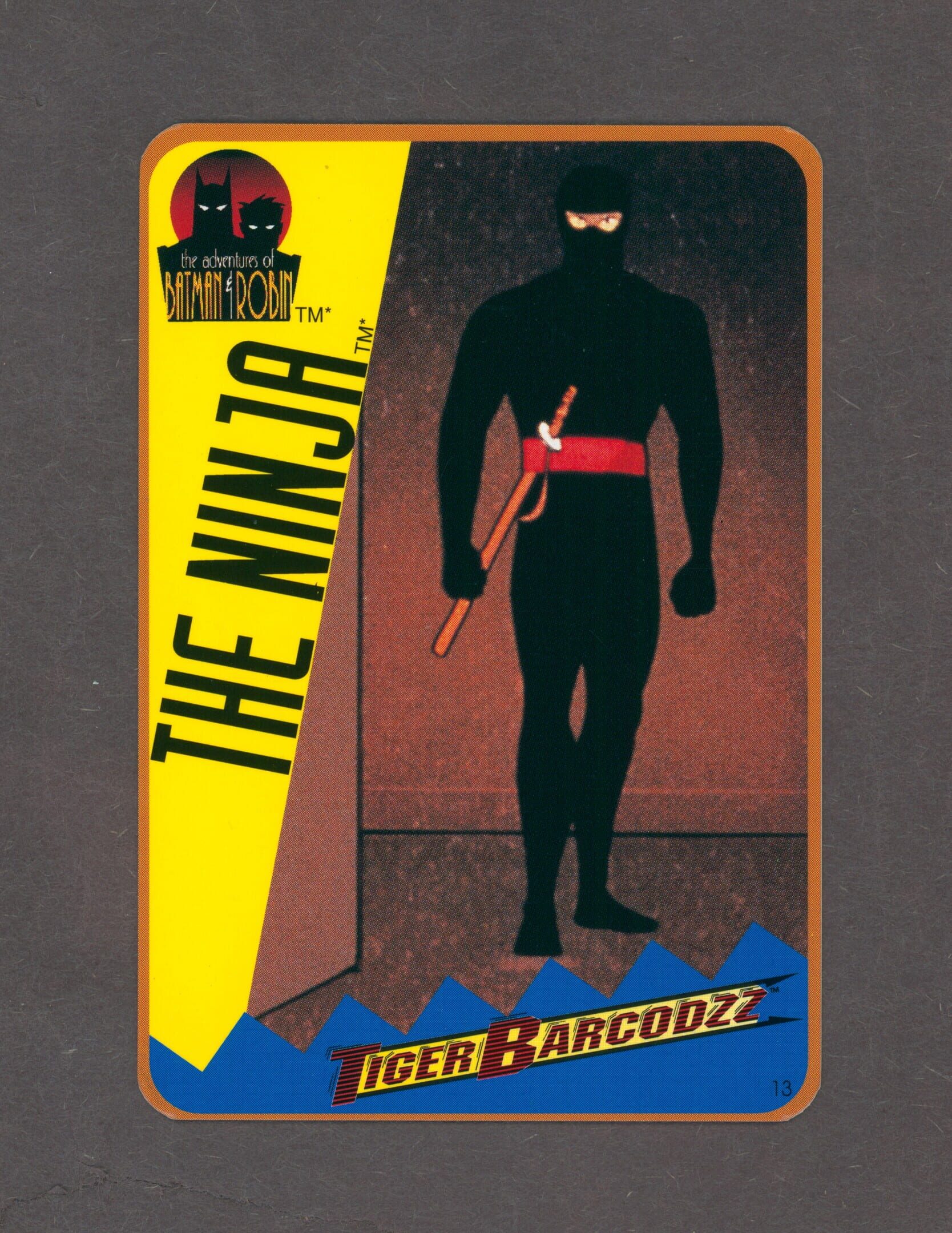 The Adventures of Batman & Robin: Tiger Barcodzz - 13: The Ninja