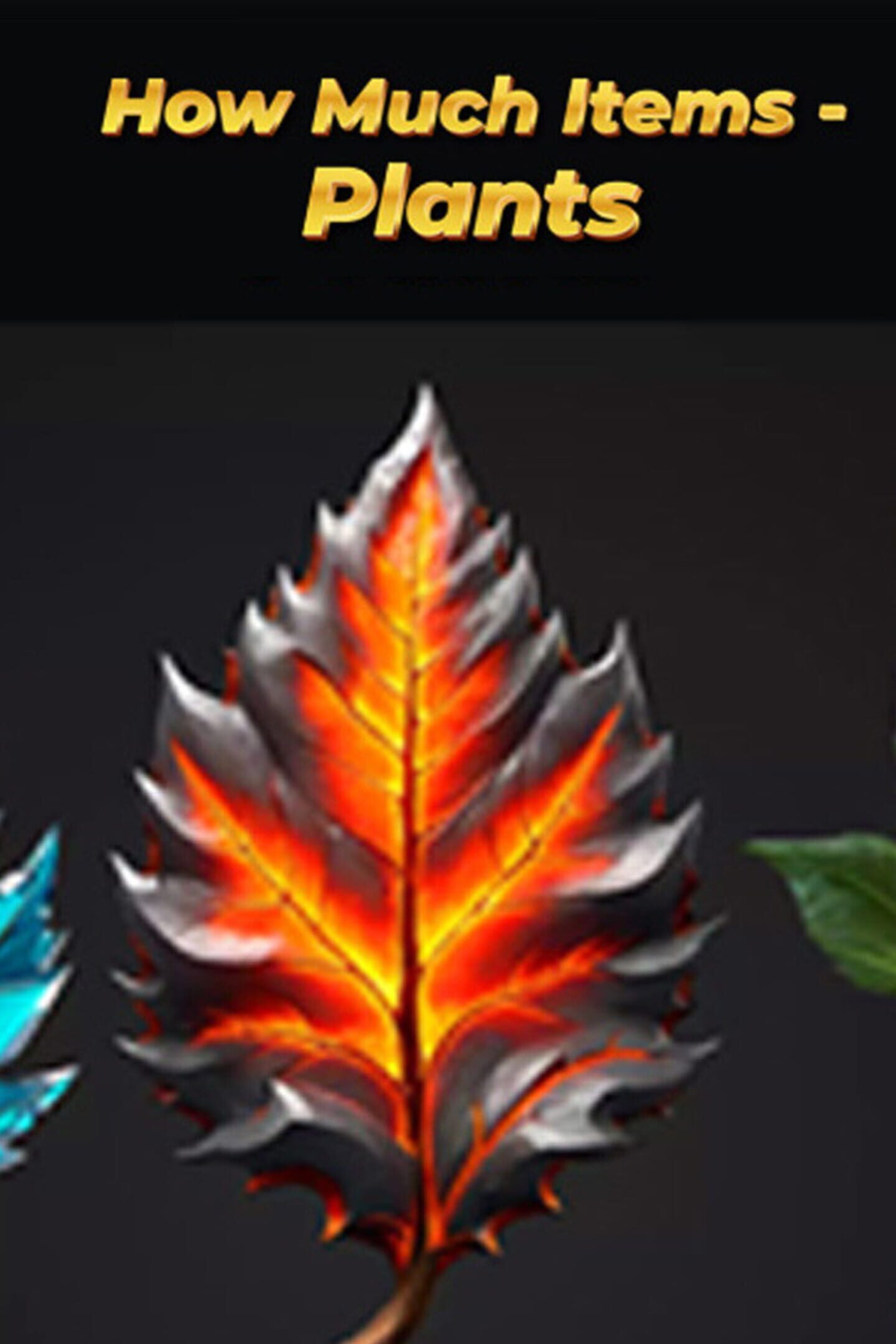 How Much Items: Plants cover