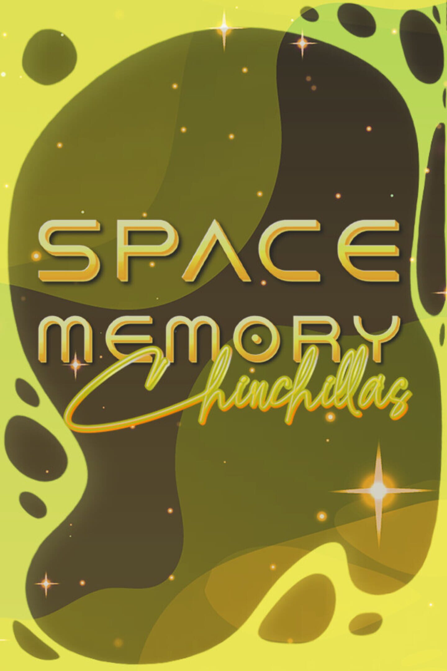 Space Memory: Chinchillas
