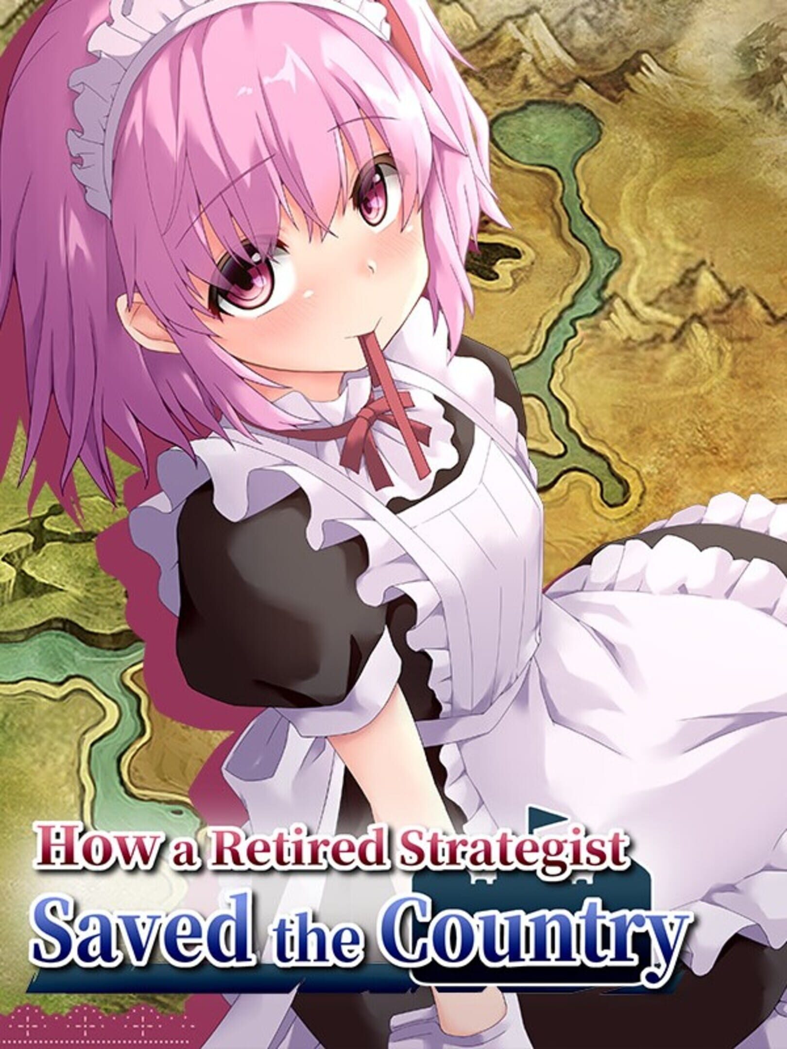 How a Retired Strategist Saved the Country