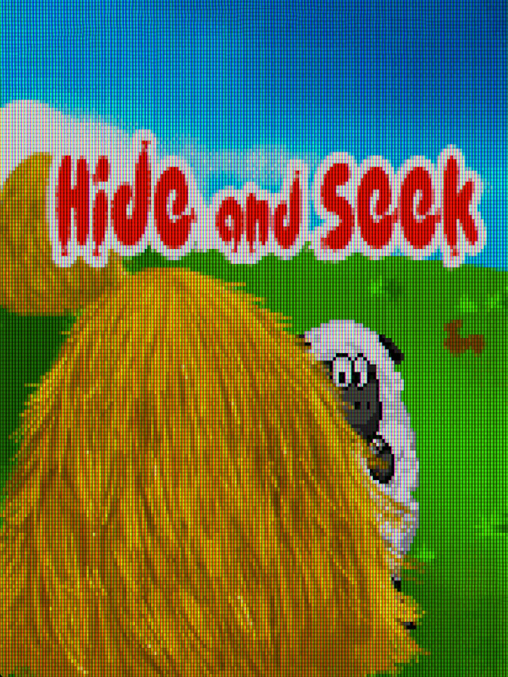 Hide and Seek cover